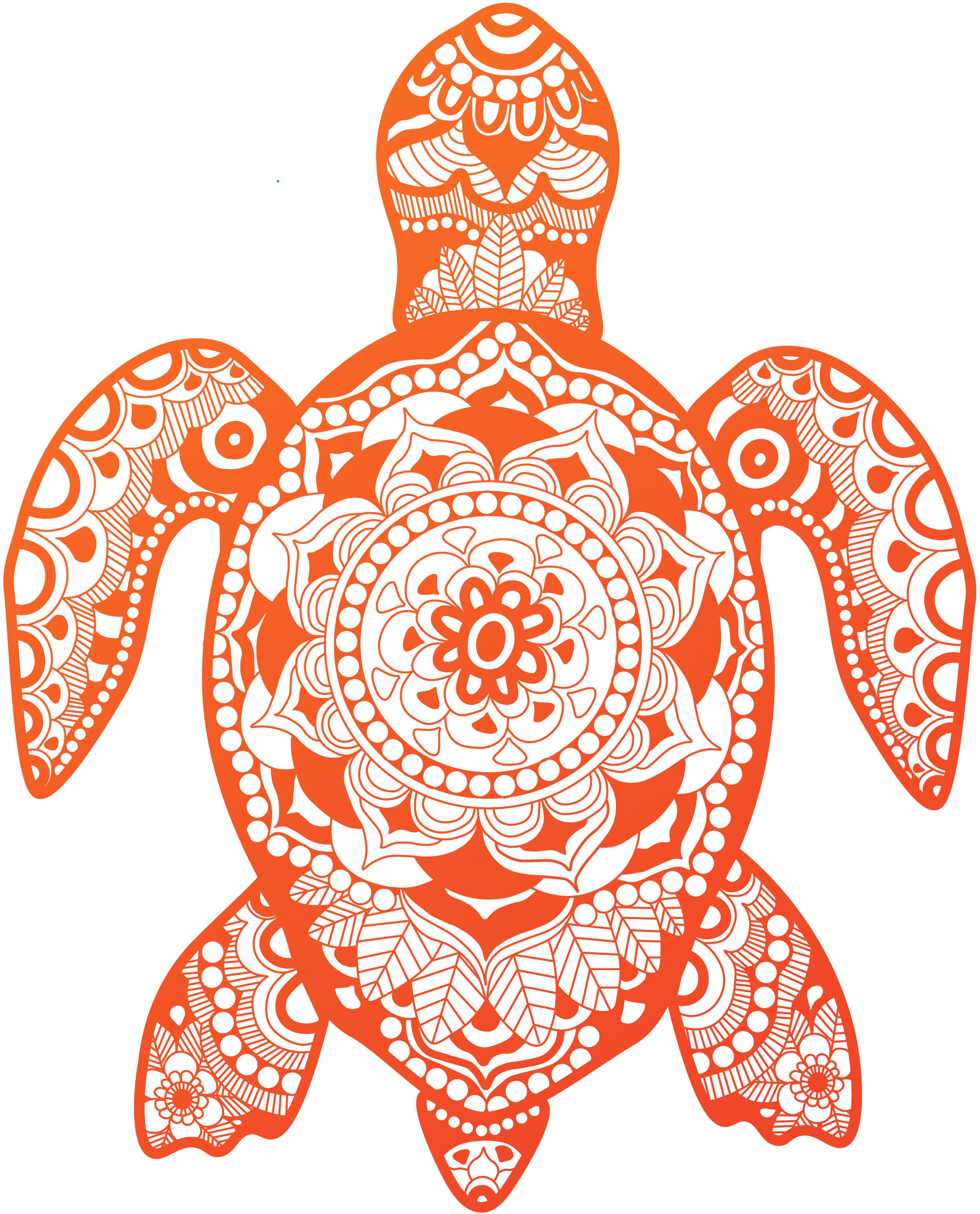 Orange Turtle.jpg