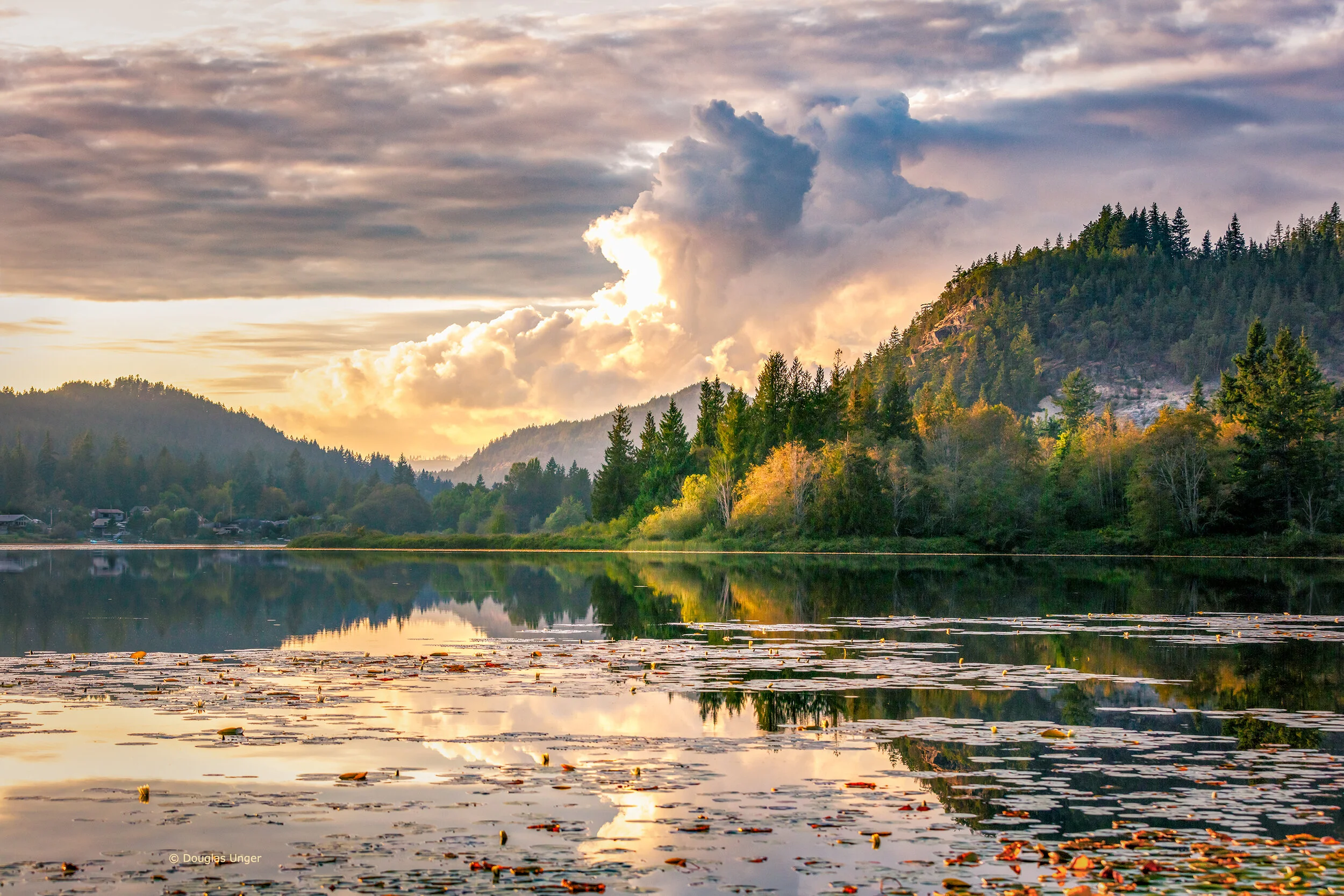 Autumn Reflections