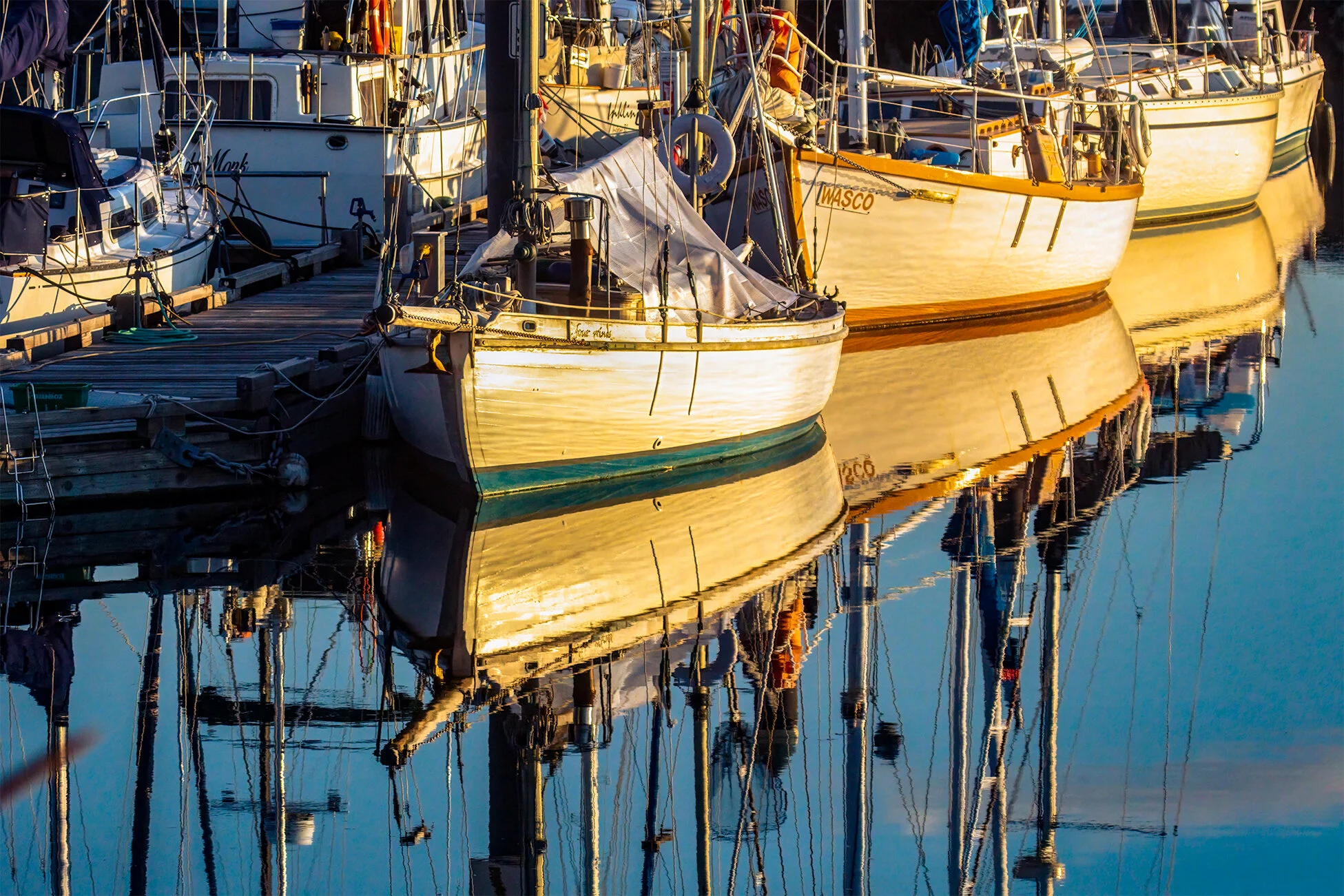 Boats In The Harbour