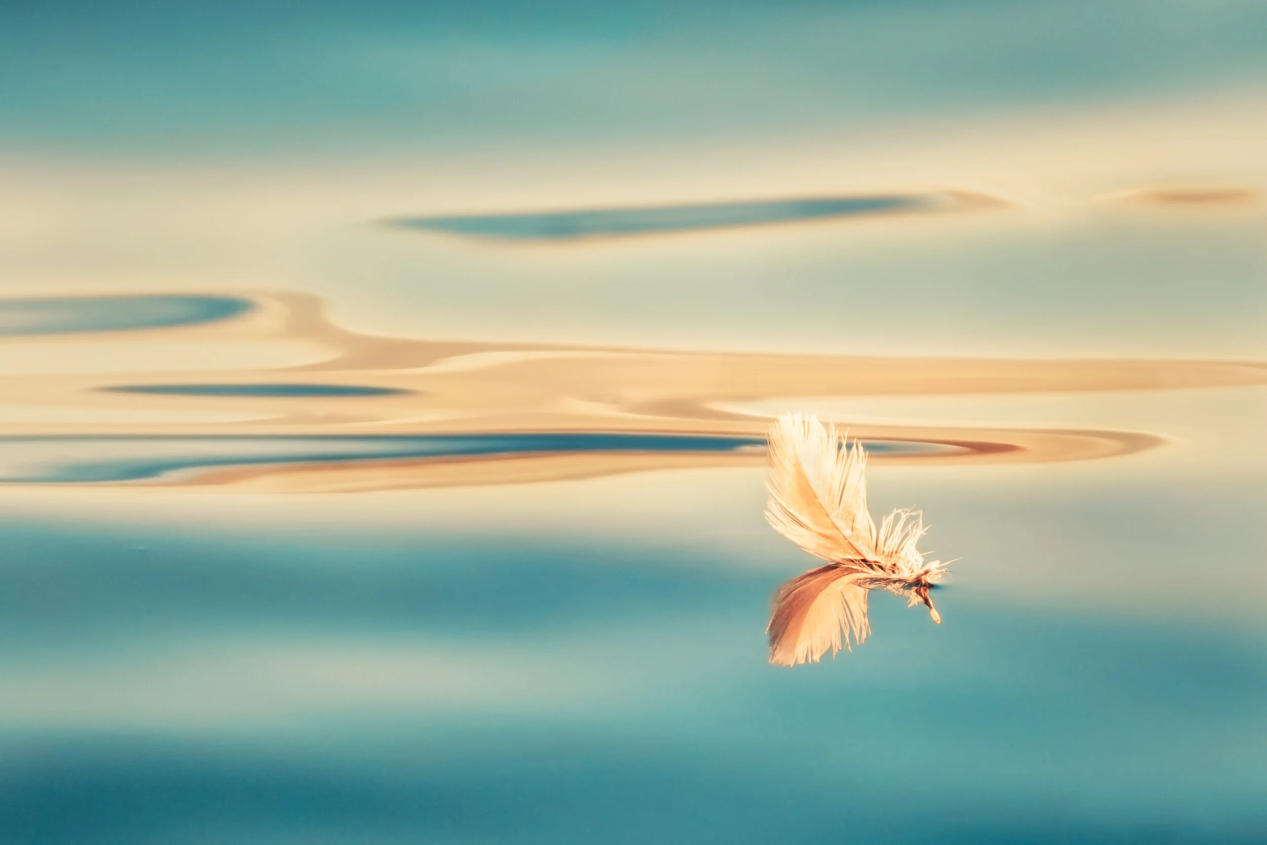 Floating Feather