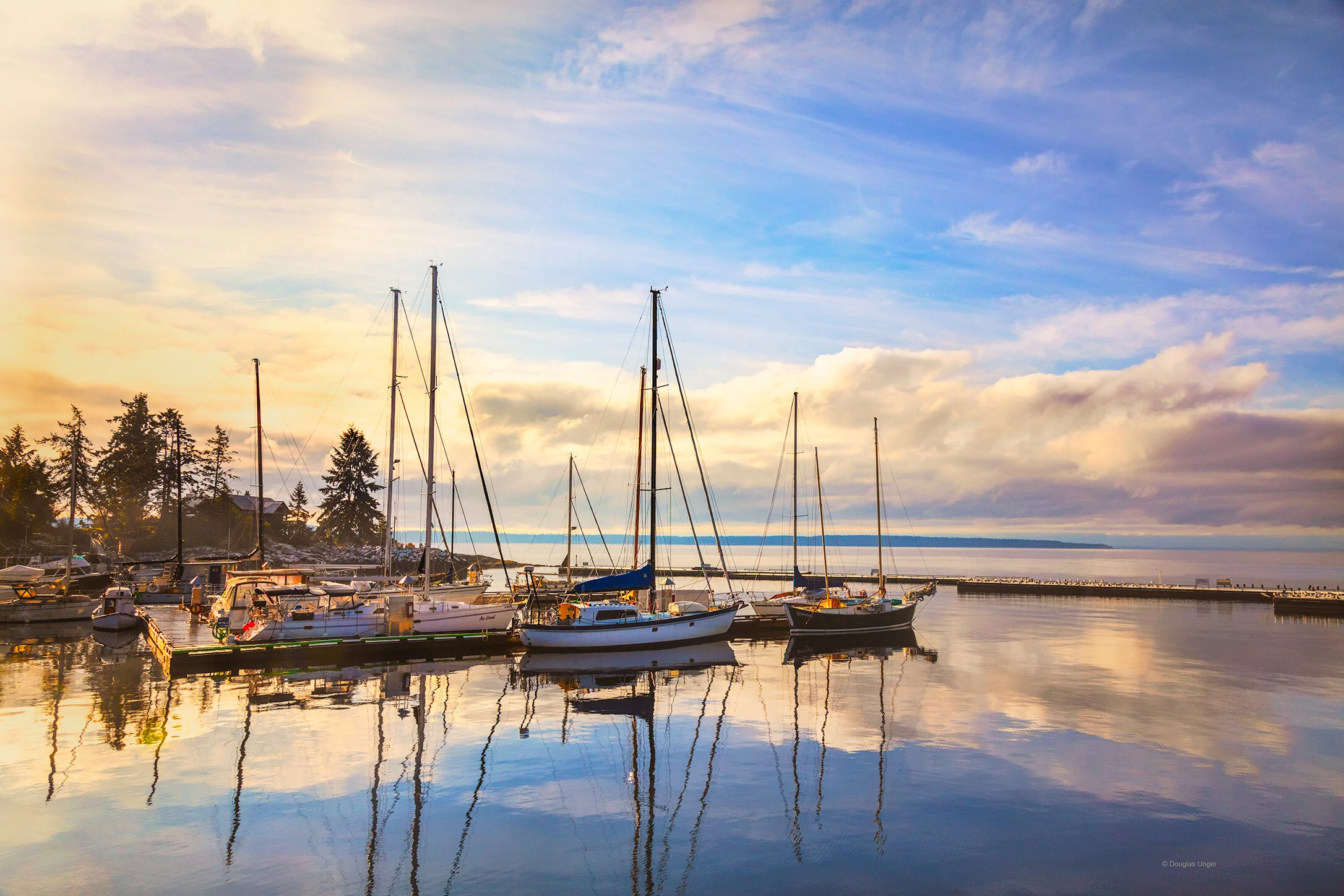 Harbour In The Morning