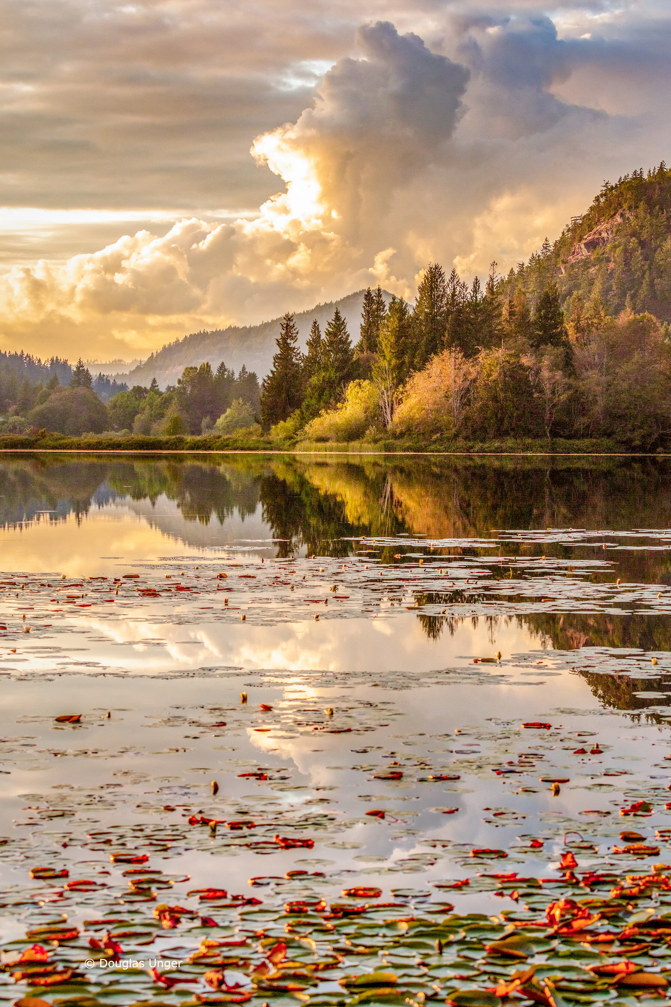Reflections