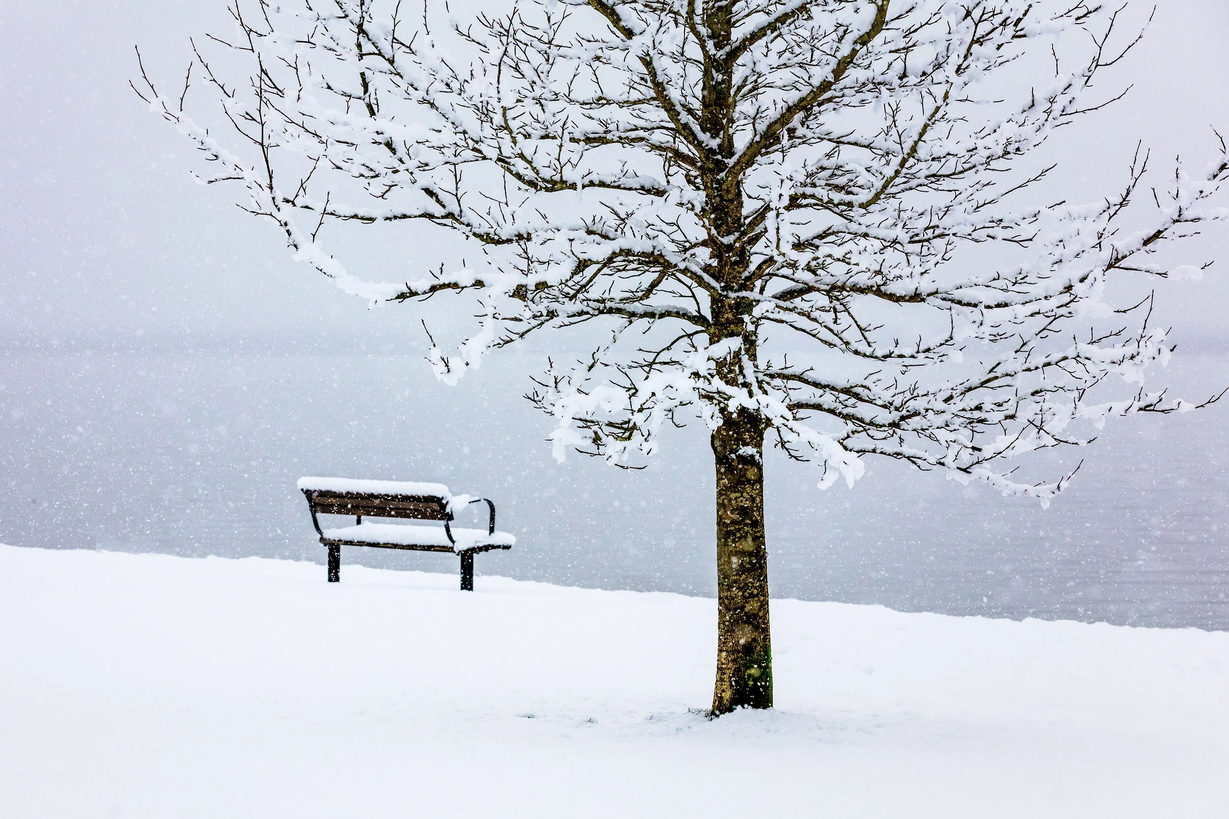 Snow Covered