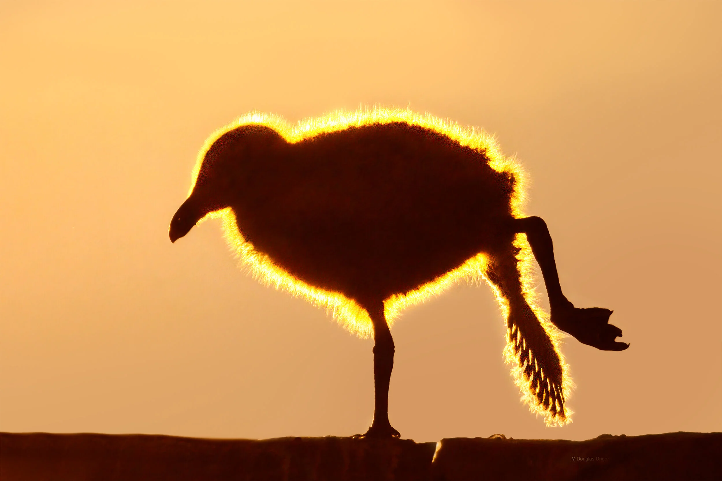 Sunset Stretch