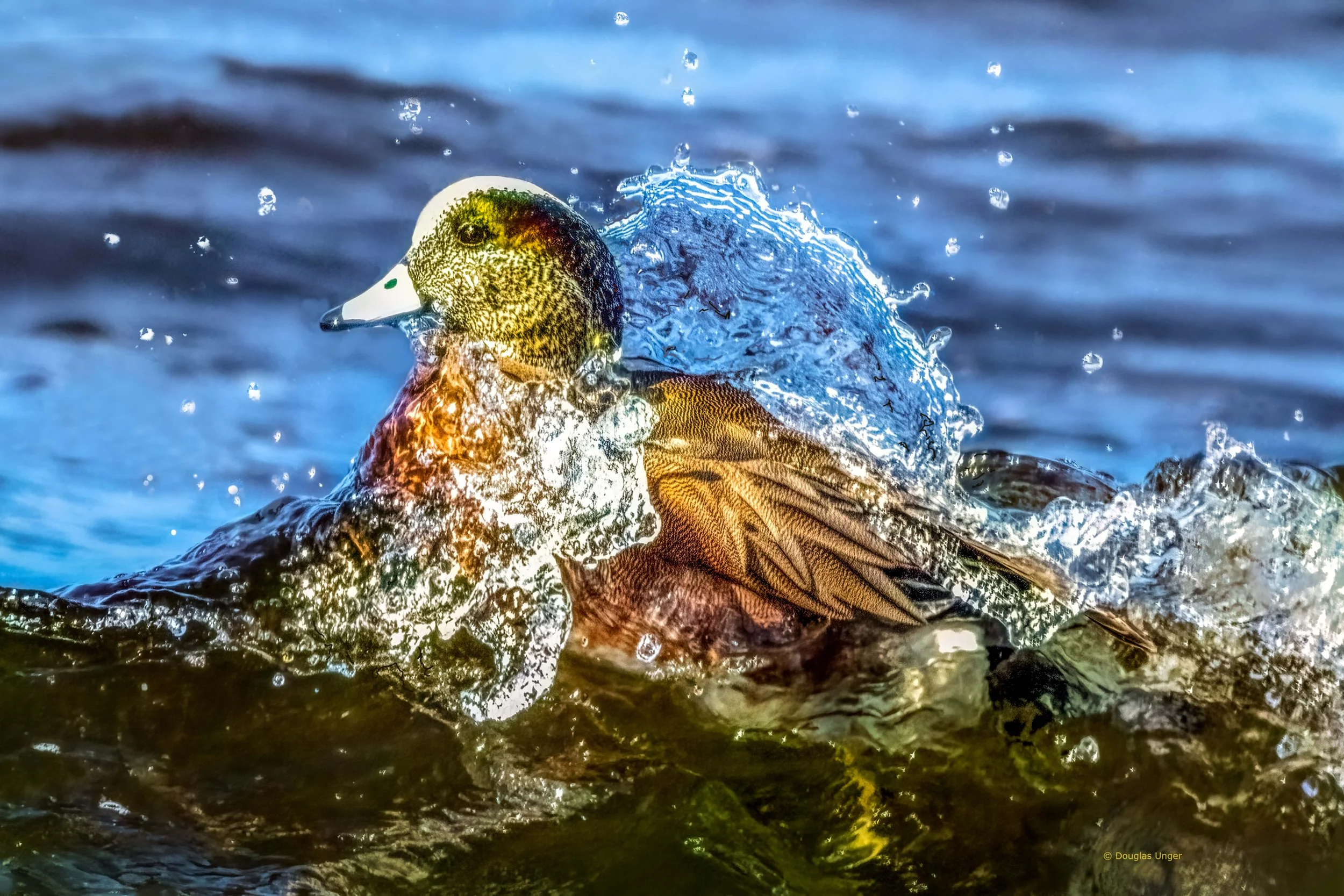 Off A Duck's Back