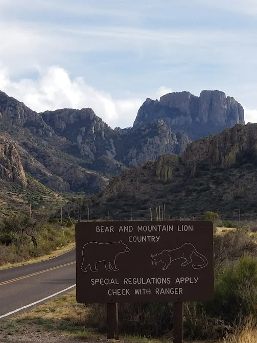 you could post a sign warning people that special regulations apply - bear and cougar country! - in lower manhattan as well thats right, i know new york