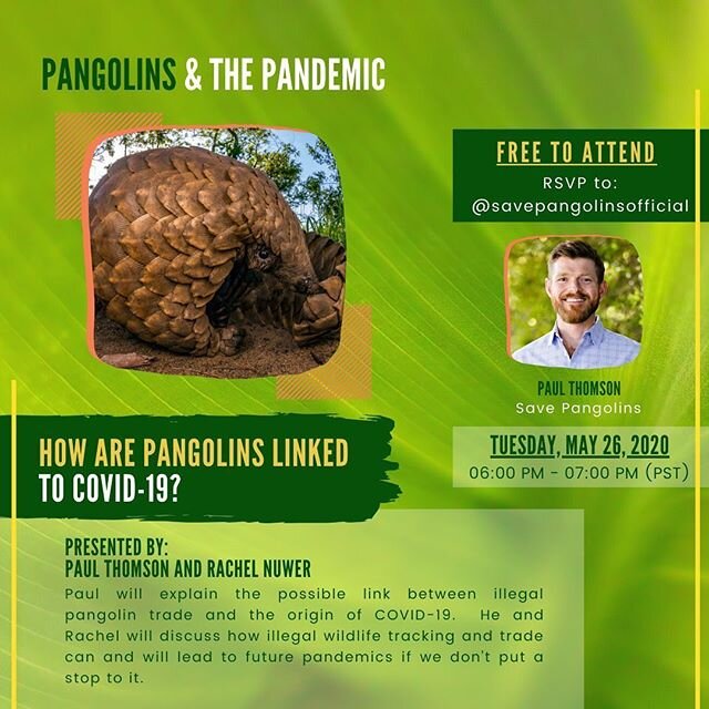 Today is the day! We&rsquo;re kicking off our WEEK LONG &ldquo;Pangolins &amp; the Pandemic&rdquo; virtual seminar with Paul Thomson, the founder of Save Pangolins, and journalist Rachel Nuwer. In this keynote presentation they will be discussing pan