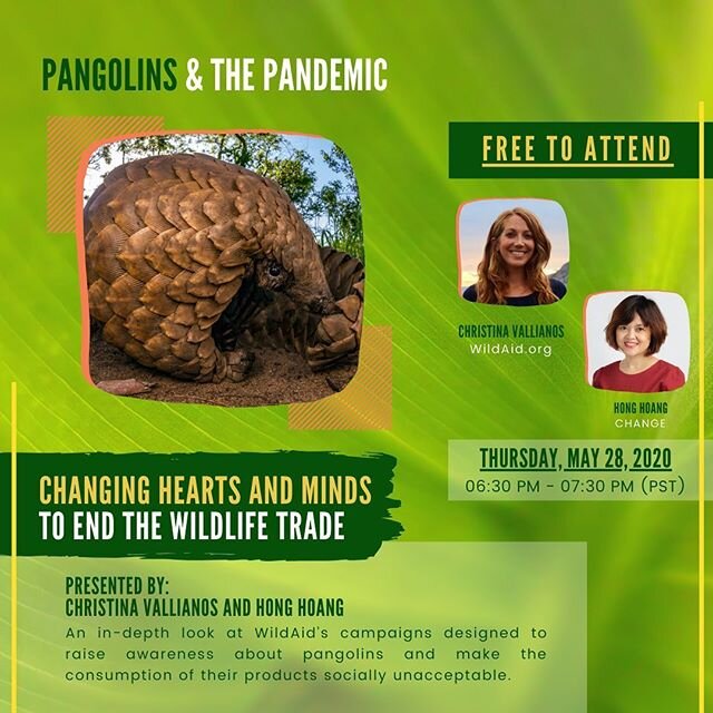 ‪It&rsquo;s been a fascinating week so far of pangolin information and we&rsquo;re just getting started. Tonight we&rsquo;ll be discussing the important work of marketing campaigns to affect cultural attitudes about pangolins and the consumption of t