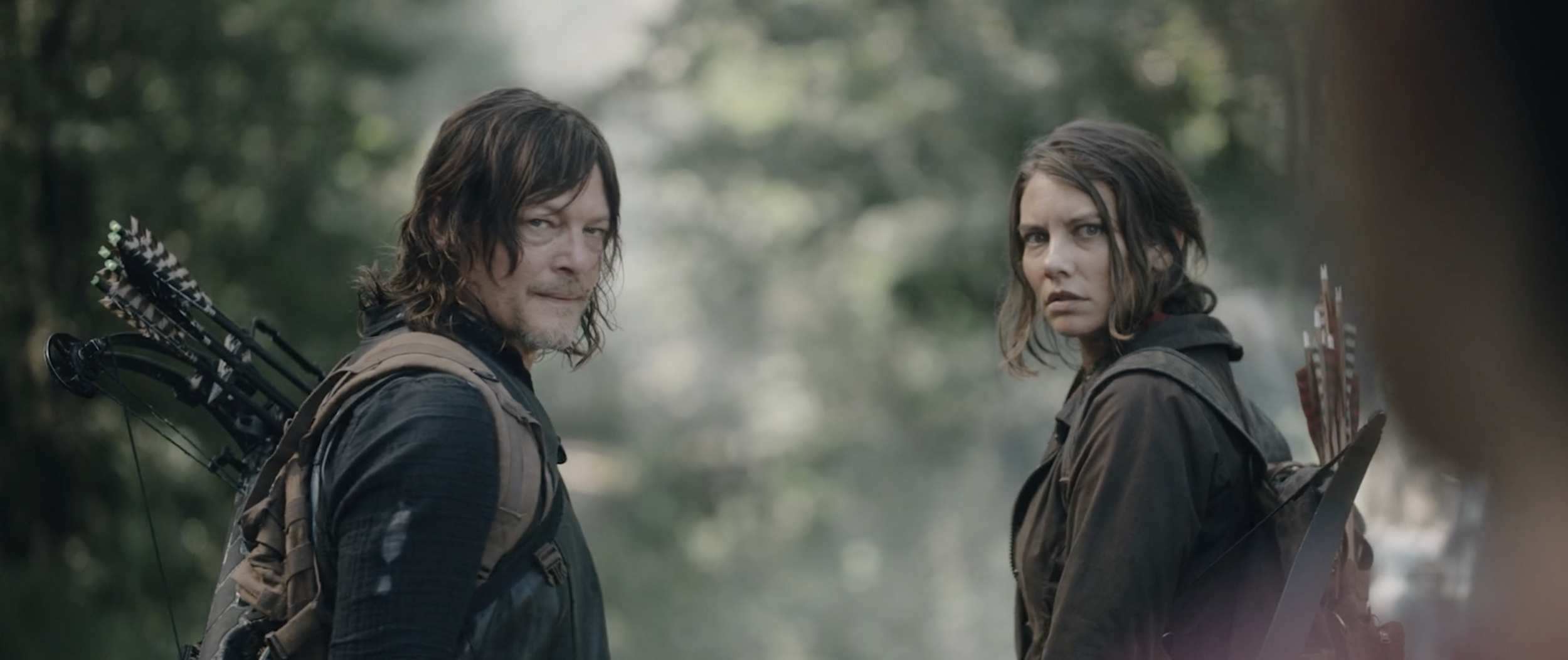 DISH - THE WALKING DEAD - FOLLOWER