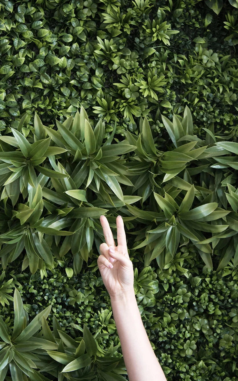 03-portolio feature 4.jpg