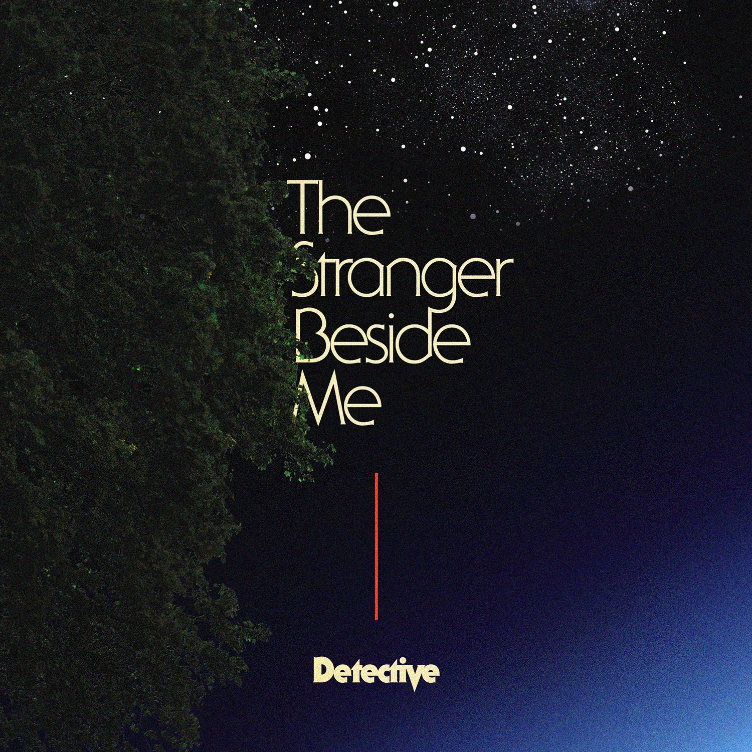 DTCV-StrangerBesideMe-1500px.jpg