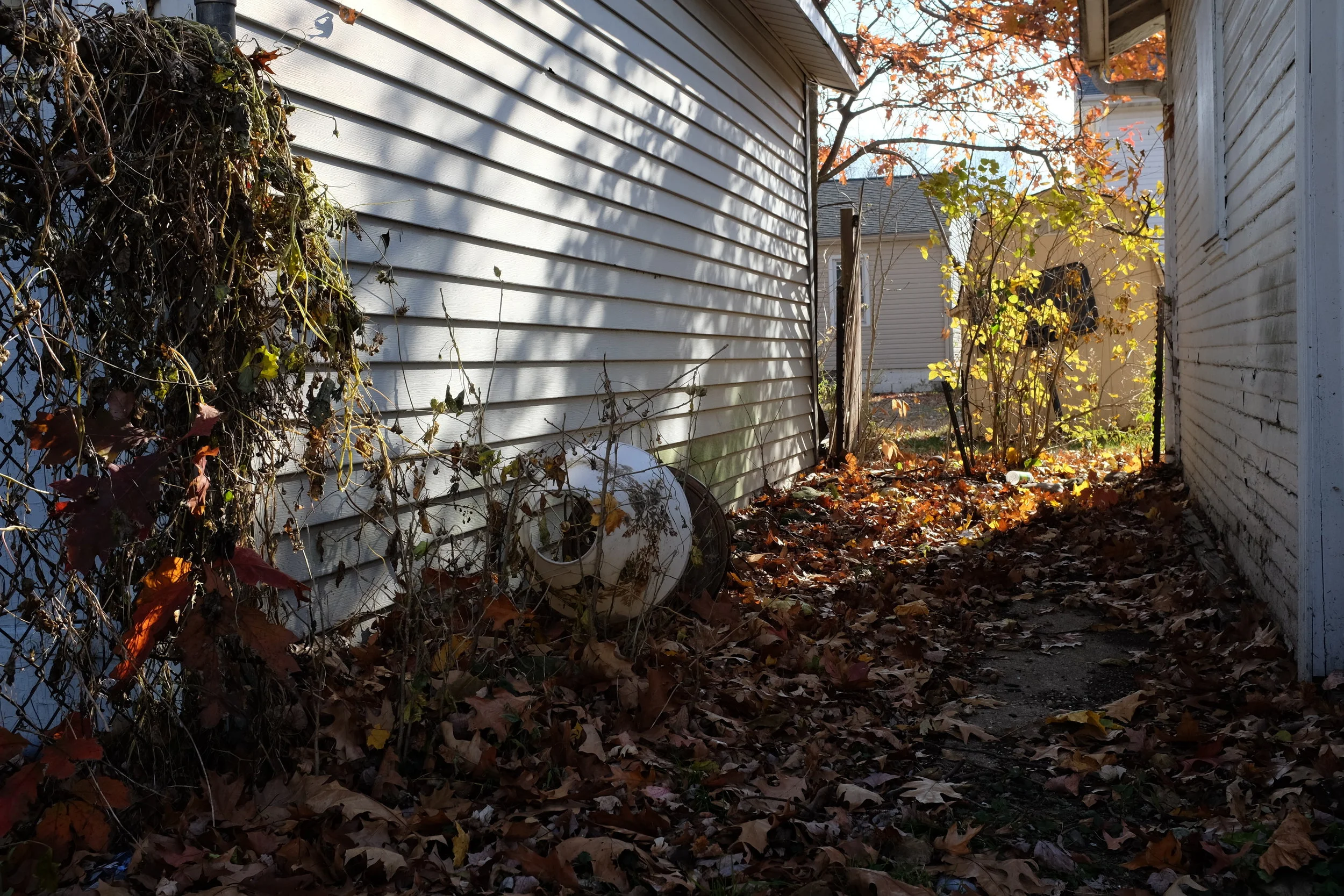 DSCF1062.JPG