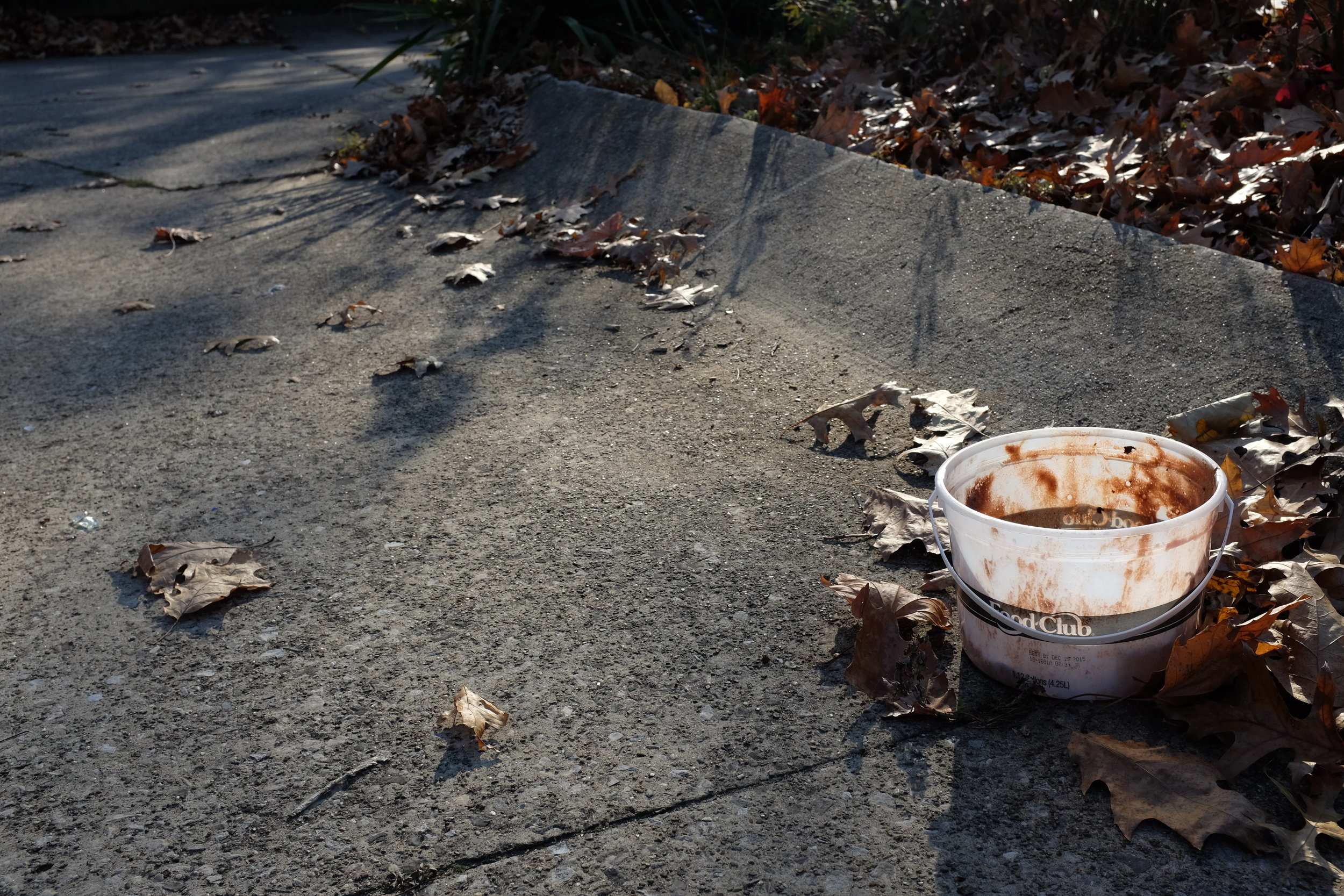 DSCF1141.JPG