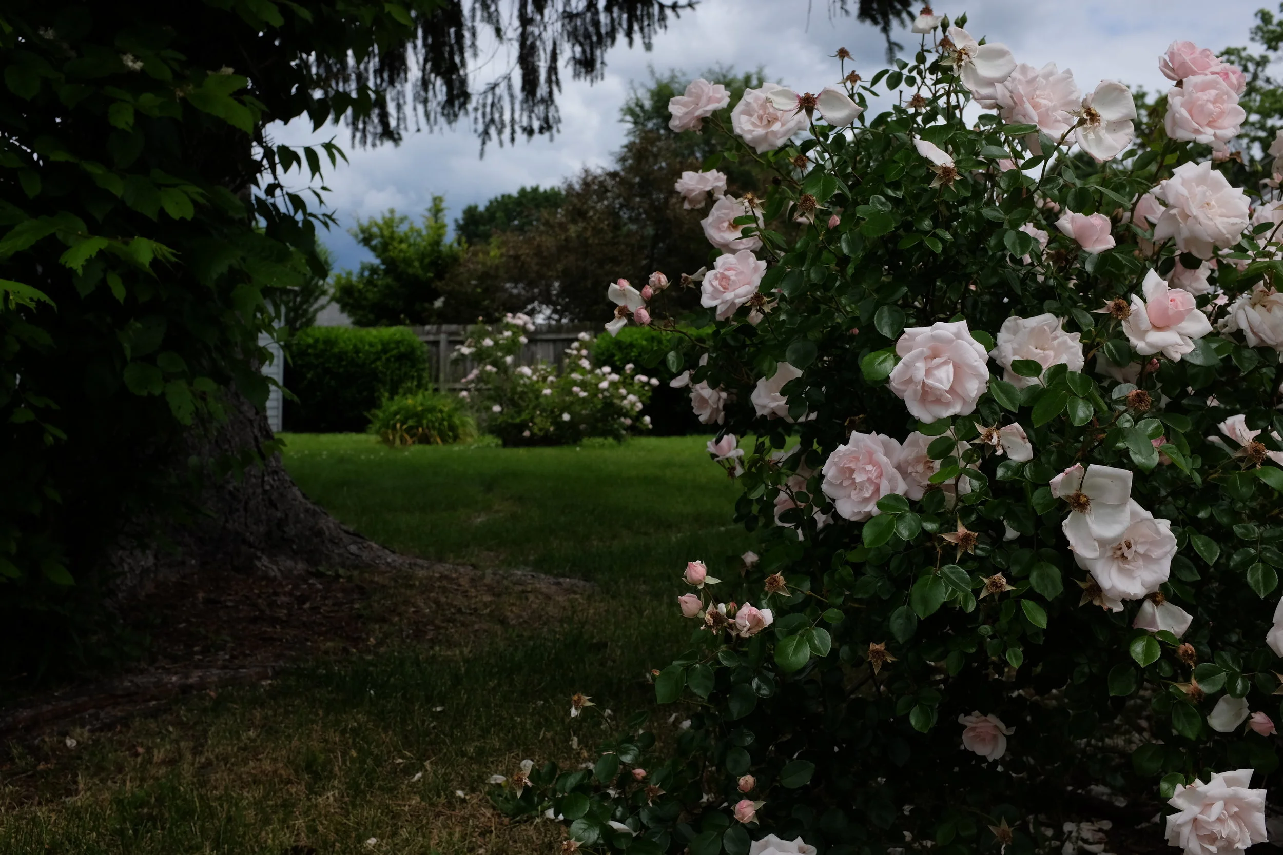 DSCF1909.JPG