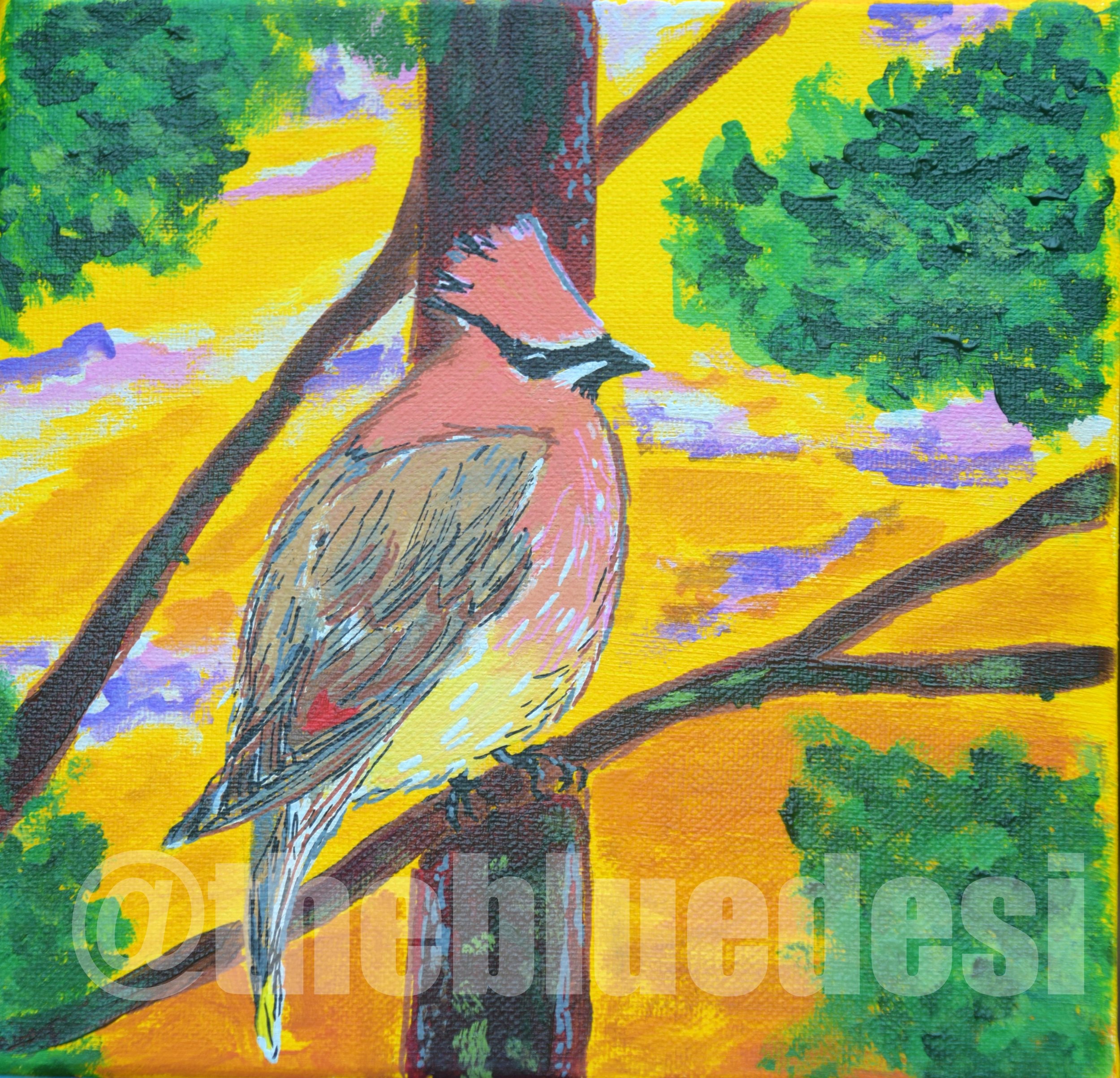 Cedar Waxwing
