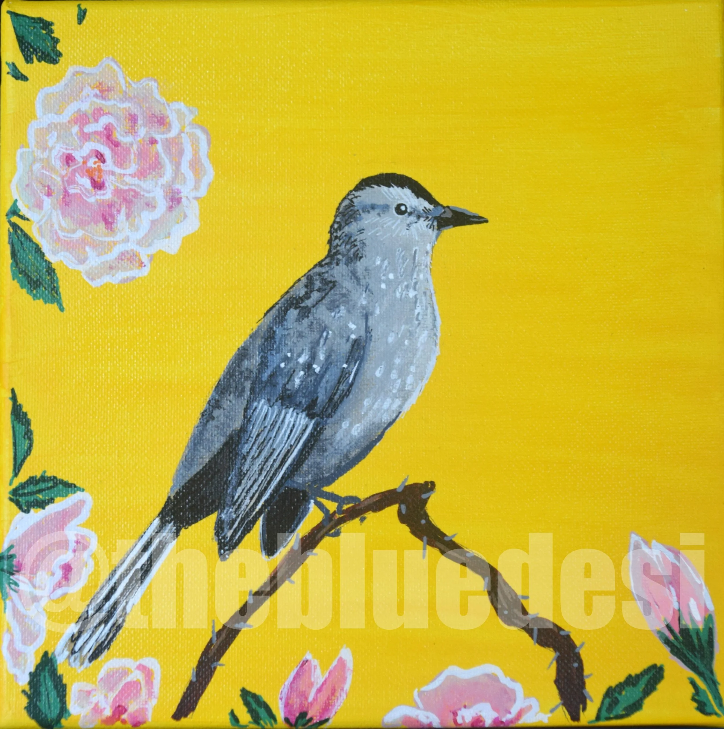 Catbird