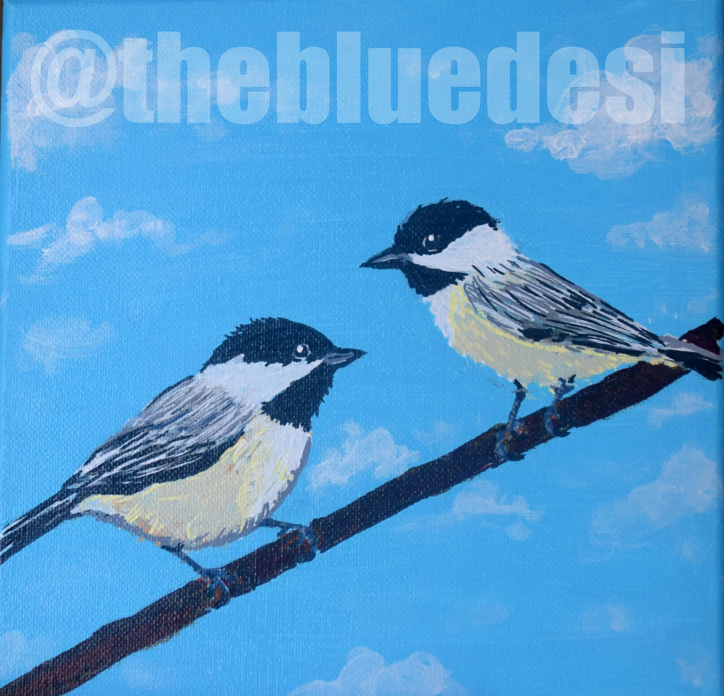 Chickadee