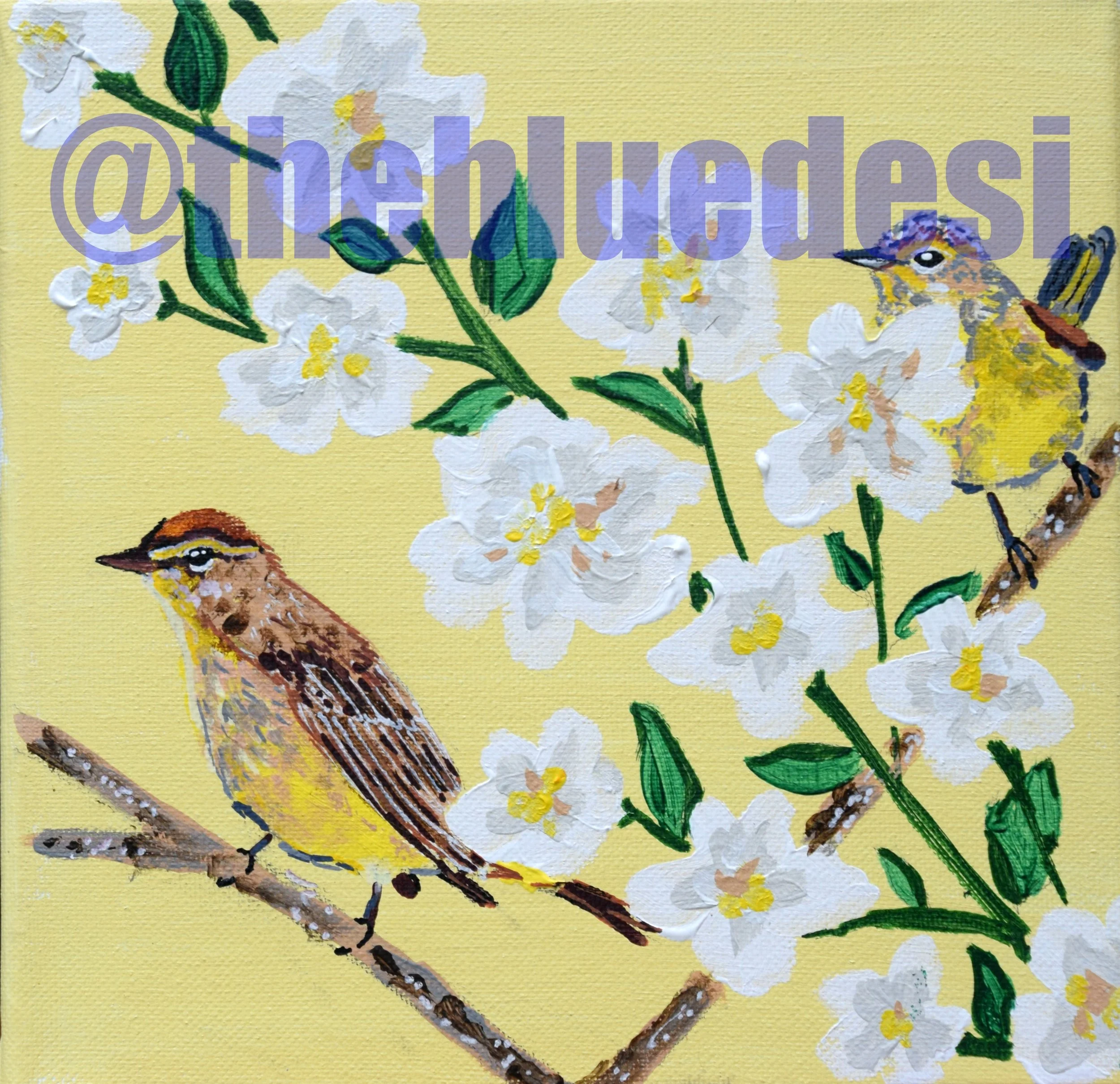Palm Warbler
