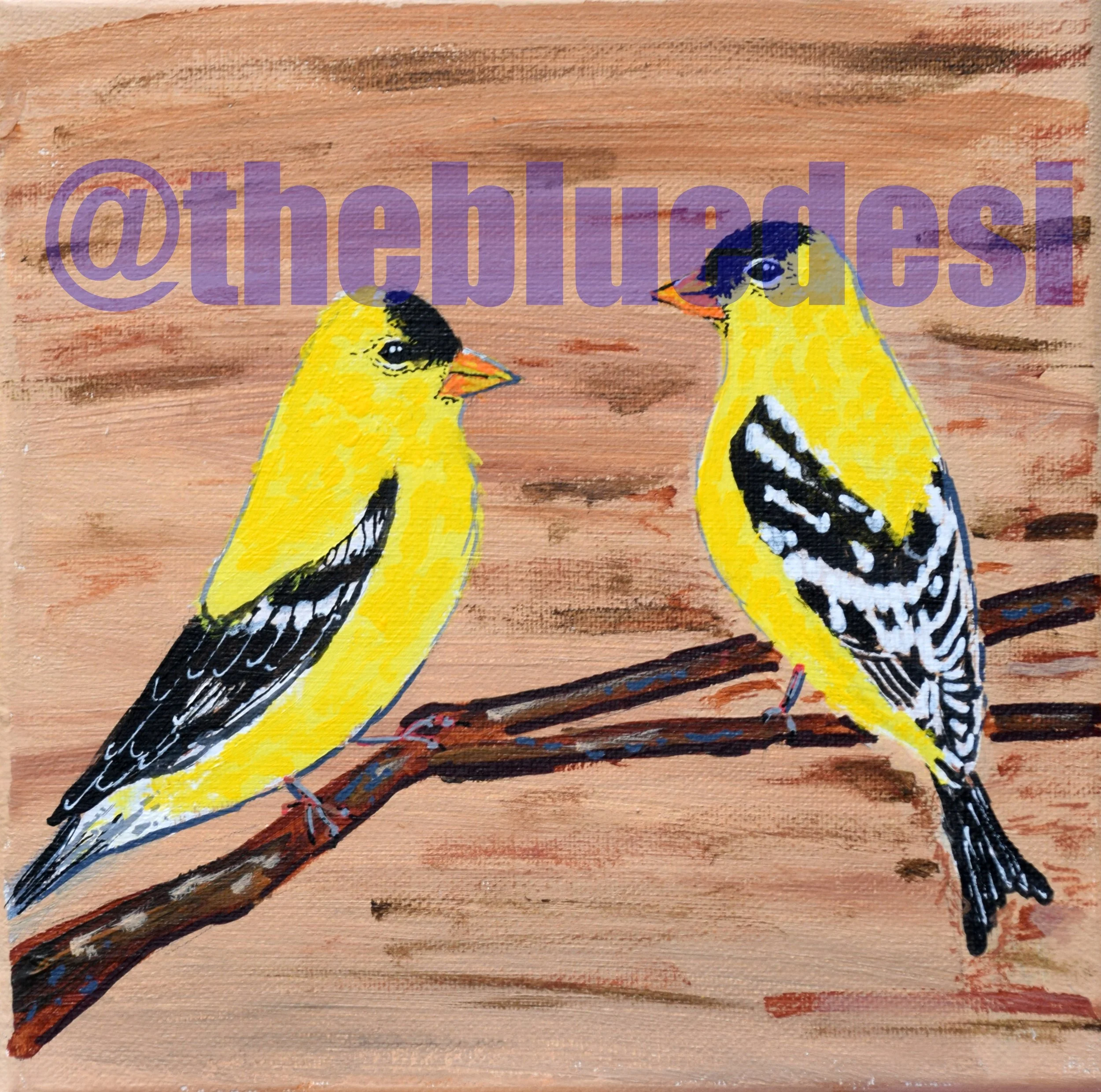 Goldfinch 2