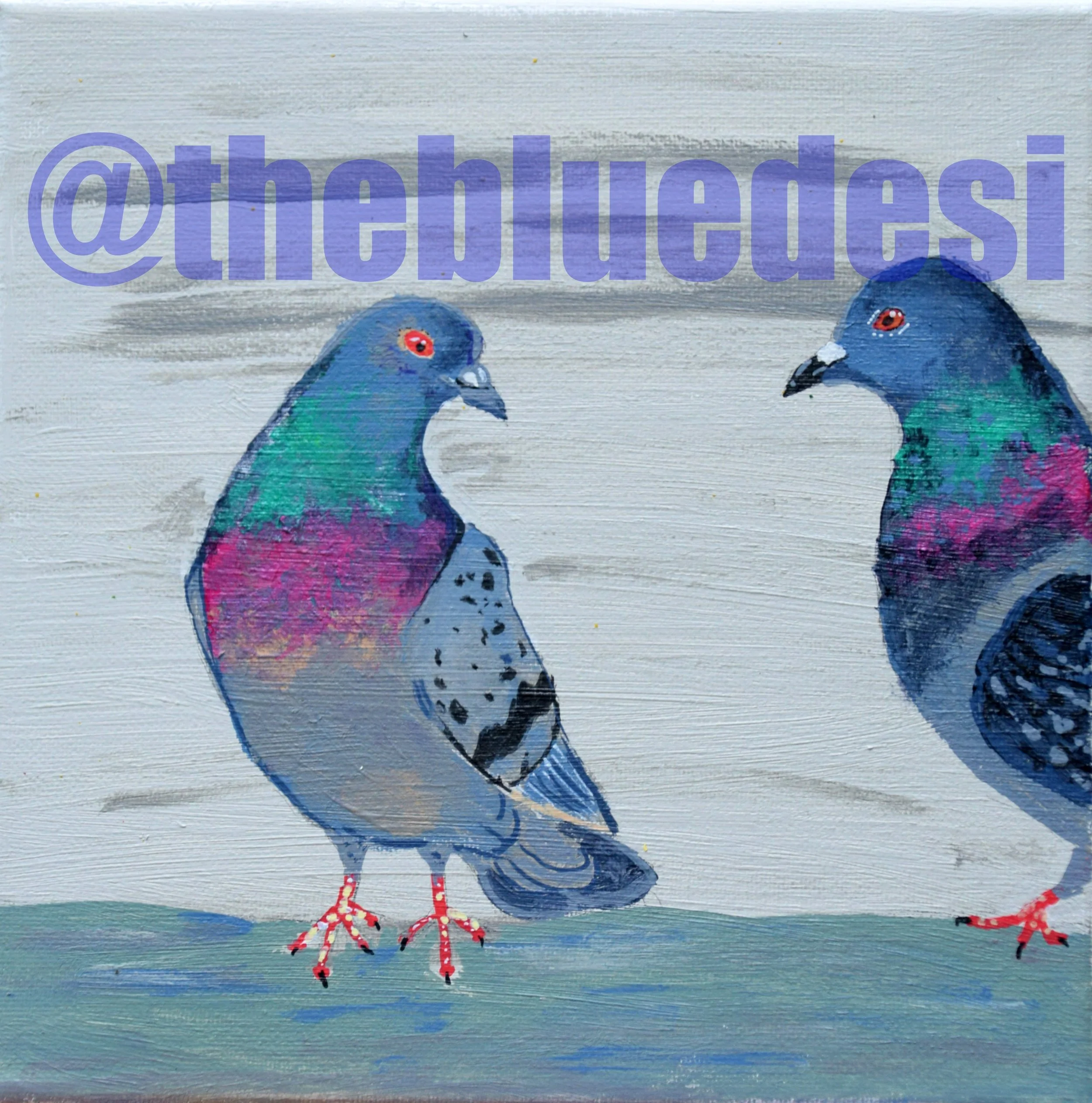 A pair of pigeons