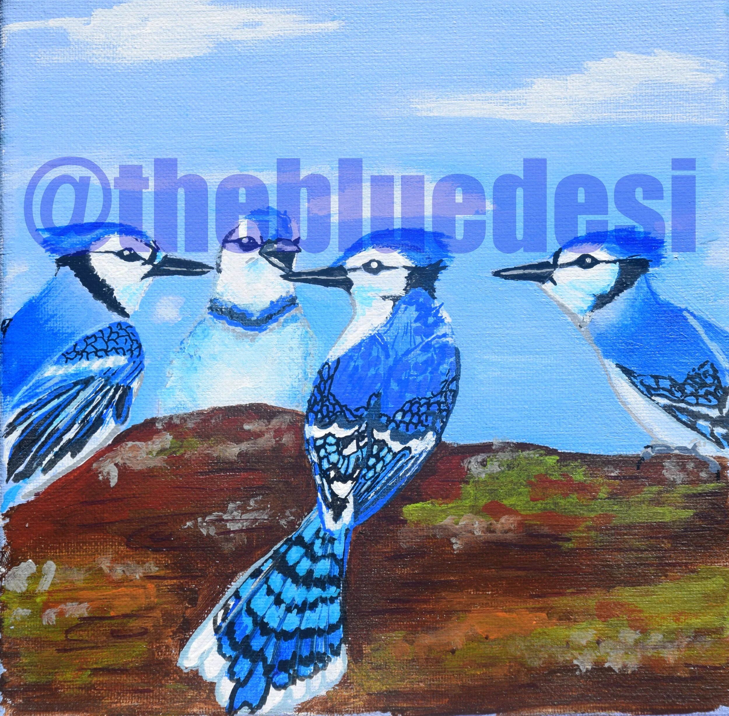 Blue Jay Meeting