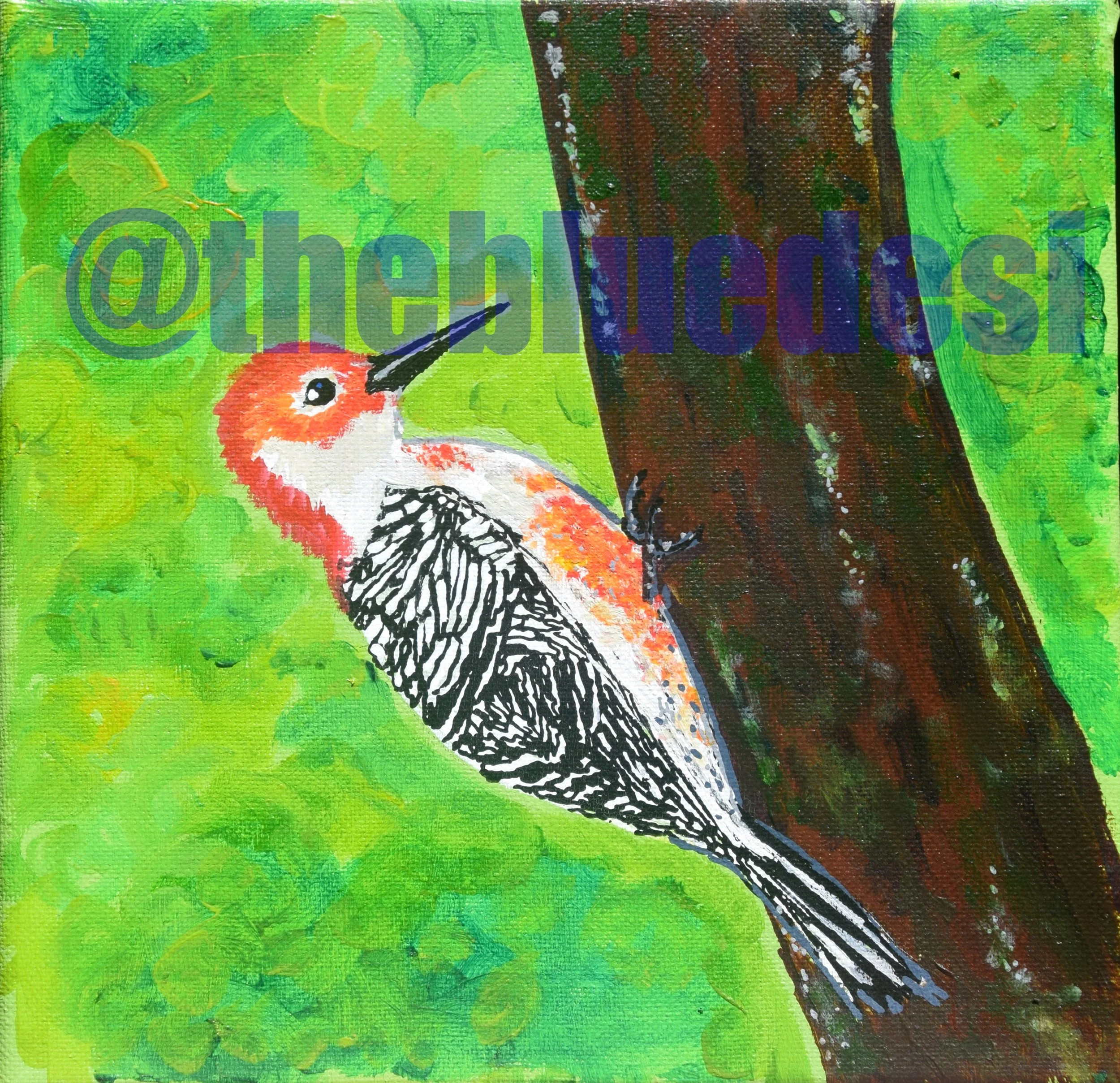 Red Bellied Woodpecker