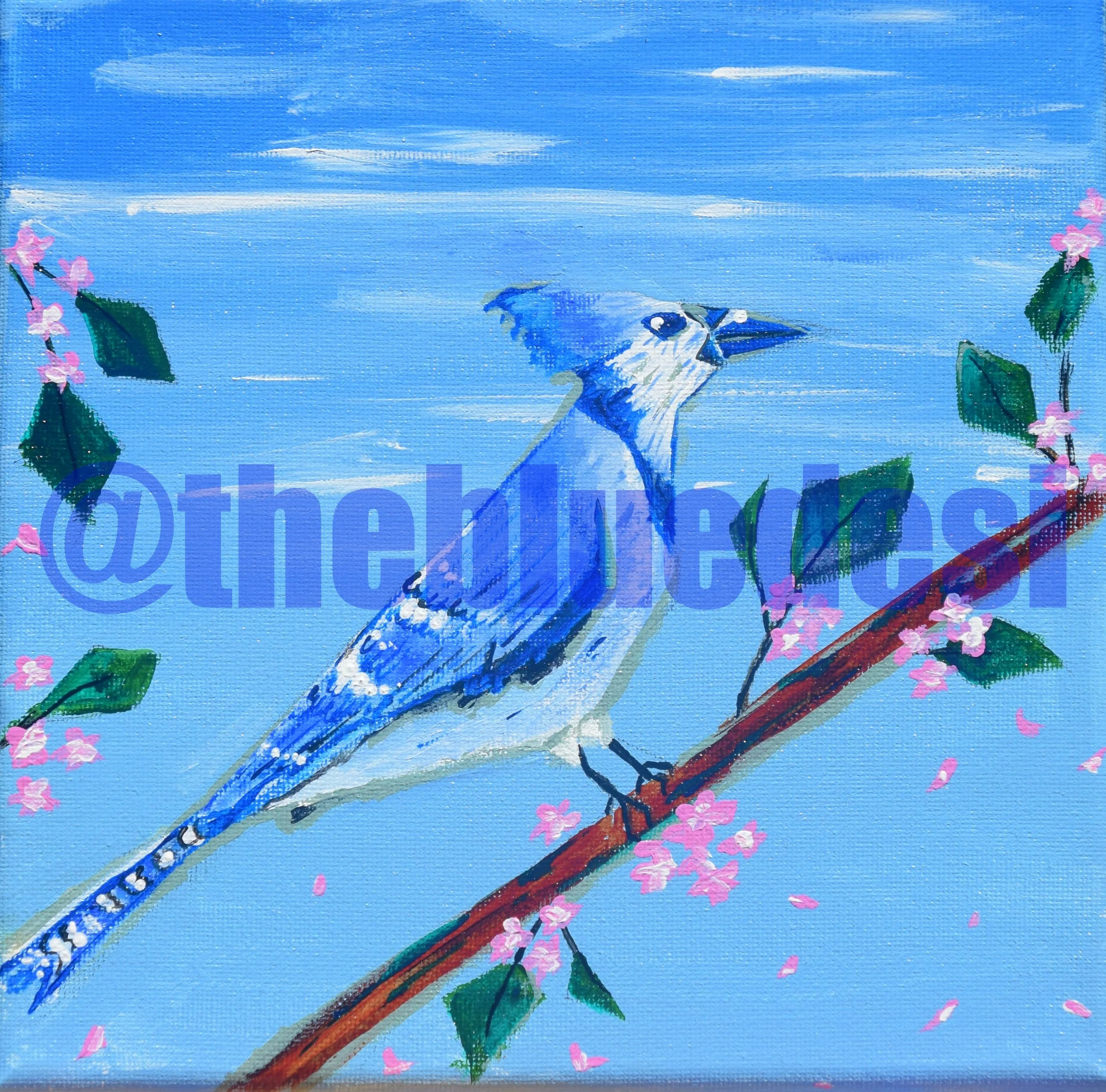 lonesome bluejay