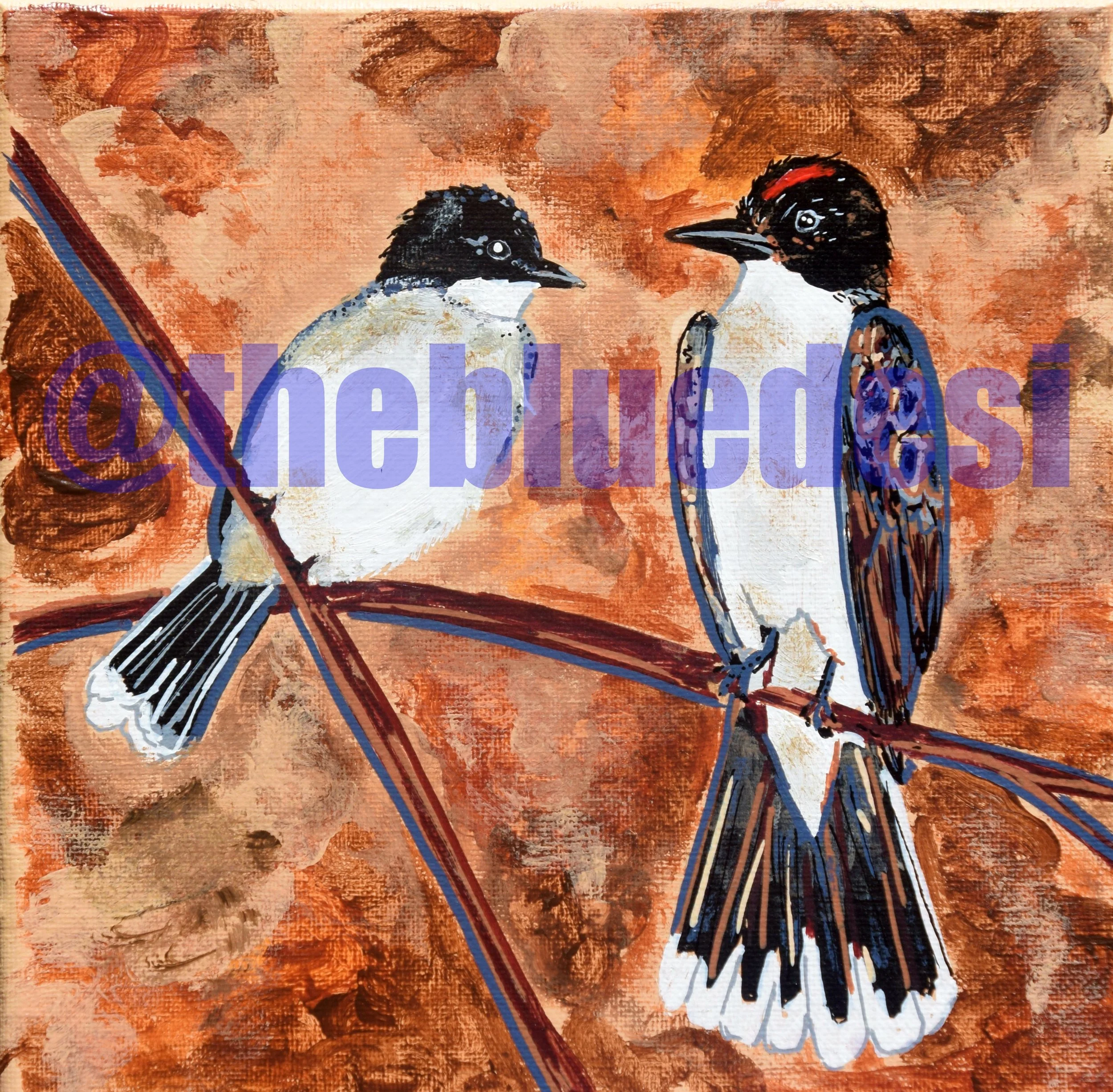 Kingbird