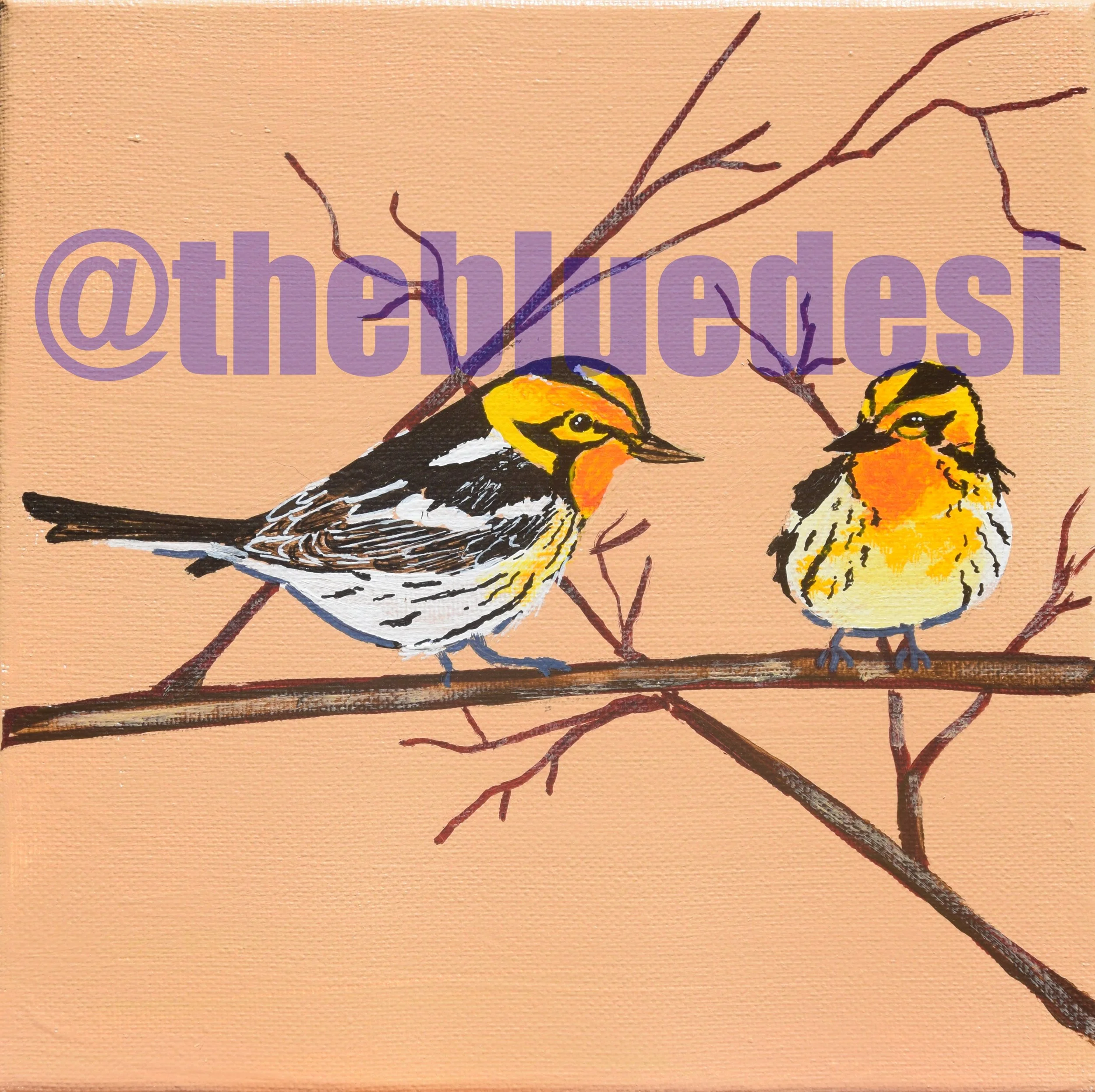 Blackbrunian Warbler