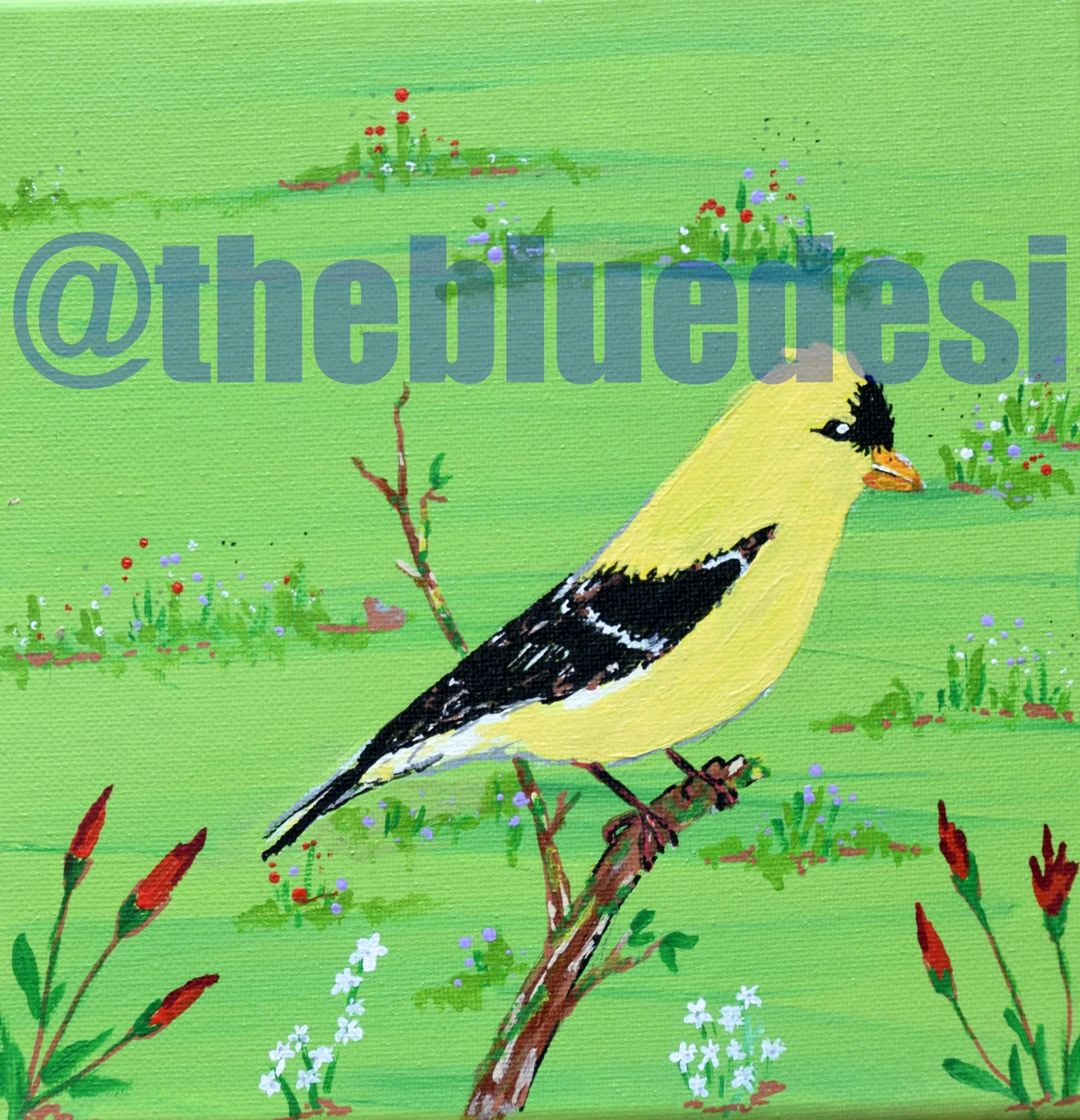 Lonesome Goldfinch