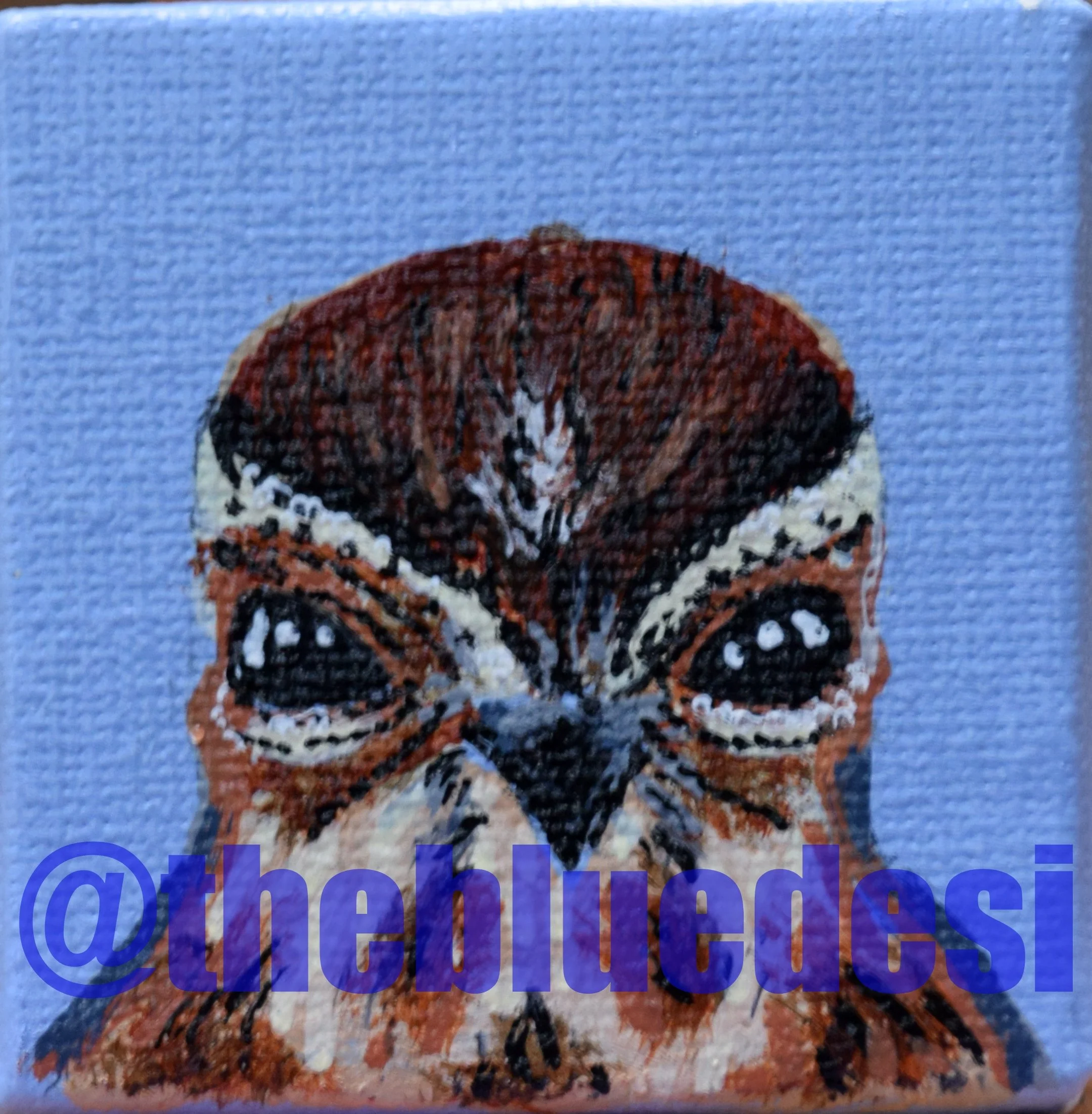 Sparrow 2