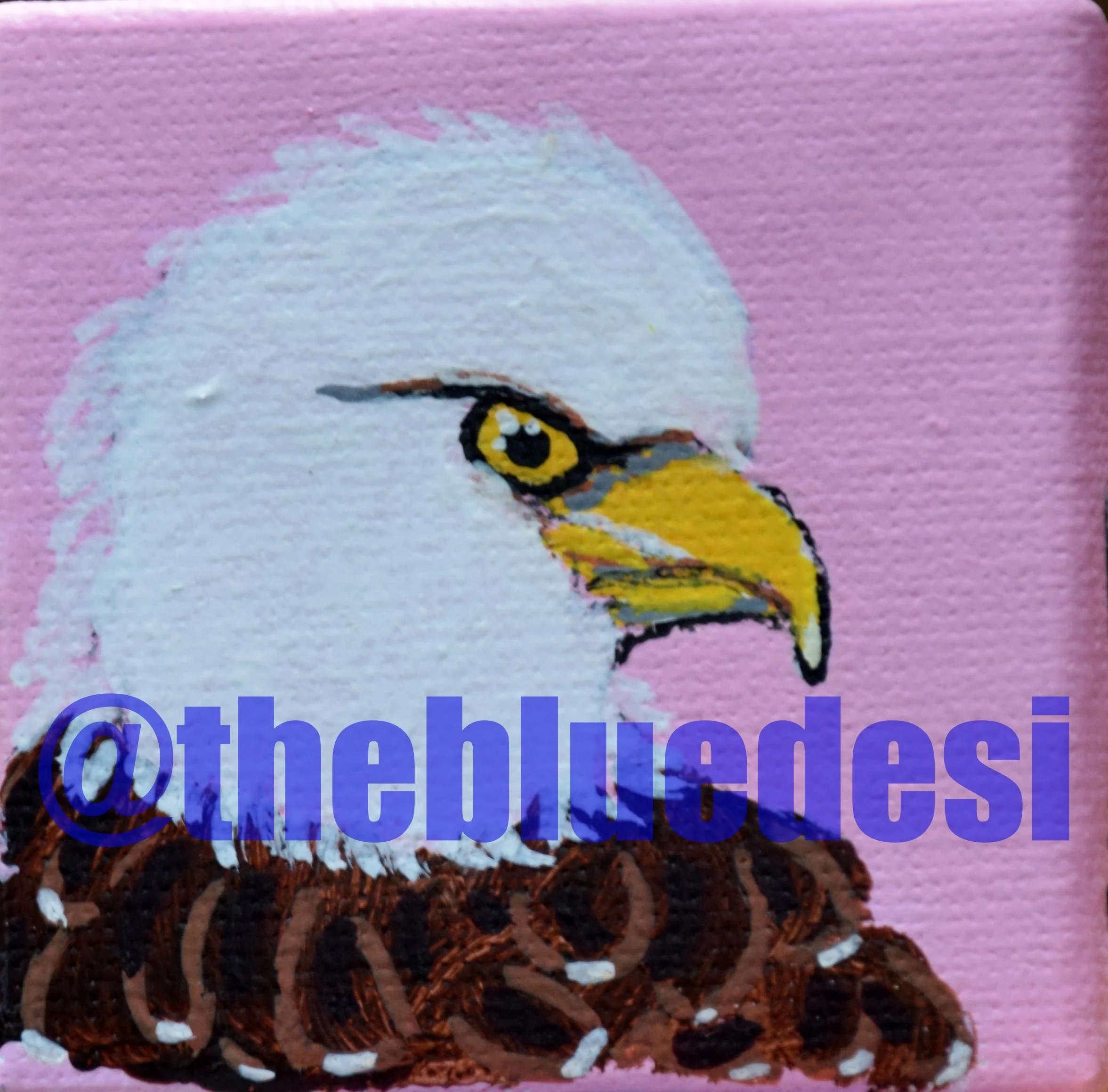 Eagle 1