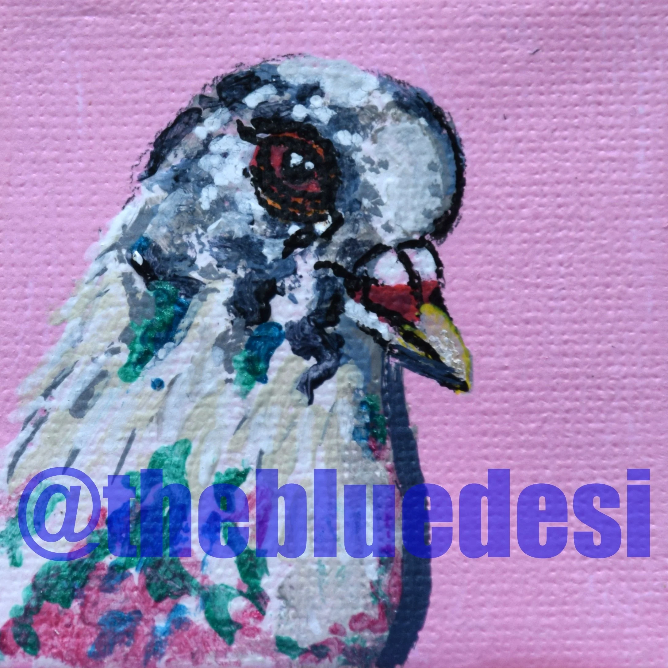 Speckled Pigeon