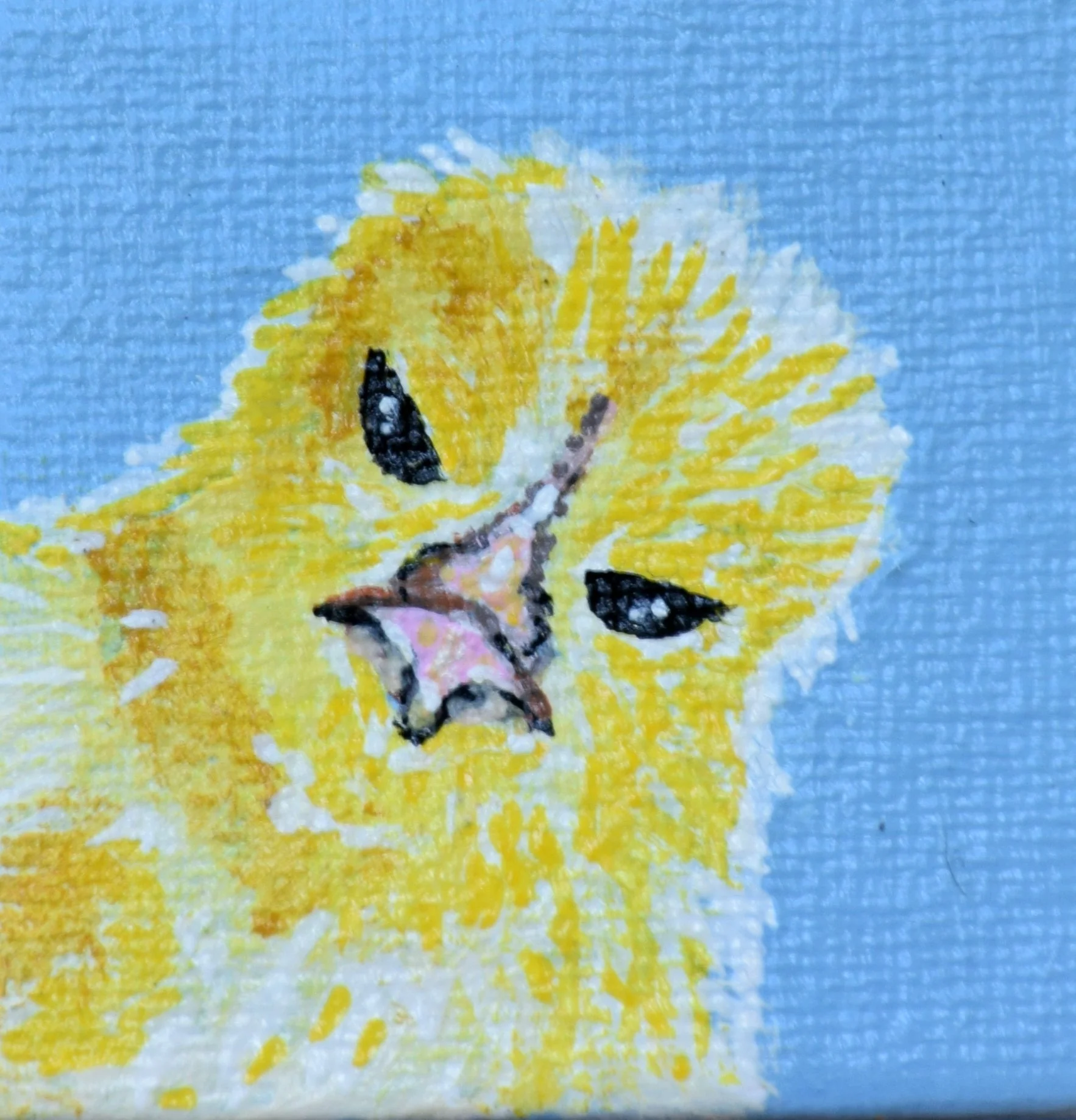 chicklet.jpg