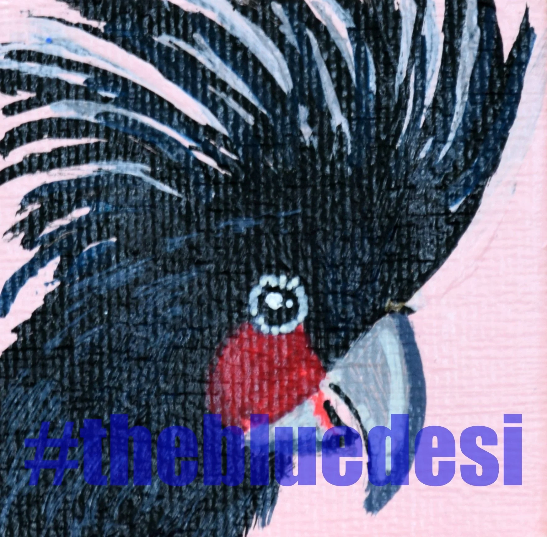 palm cockatoo