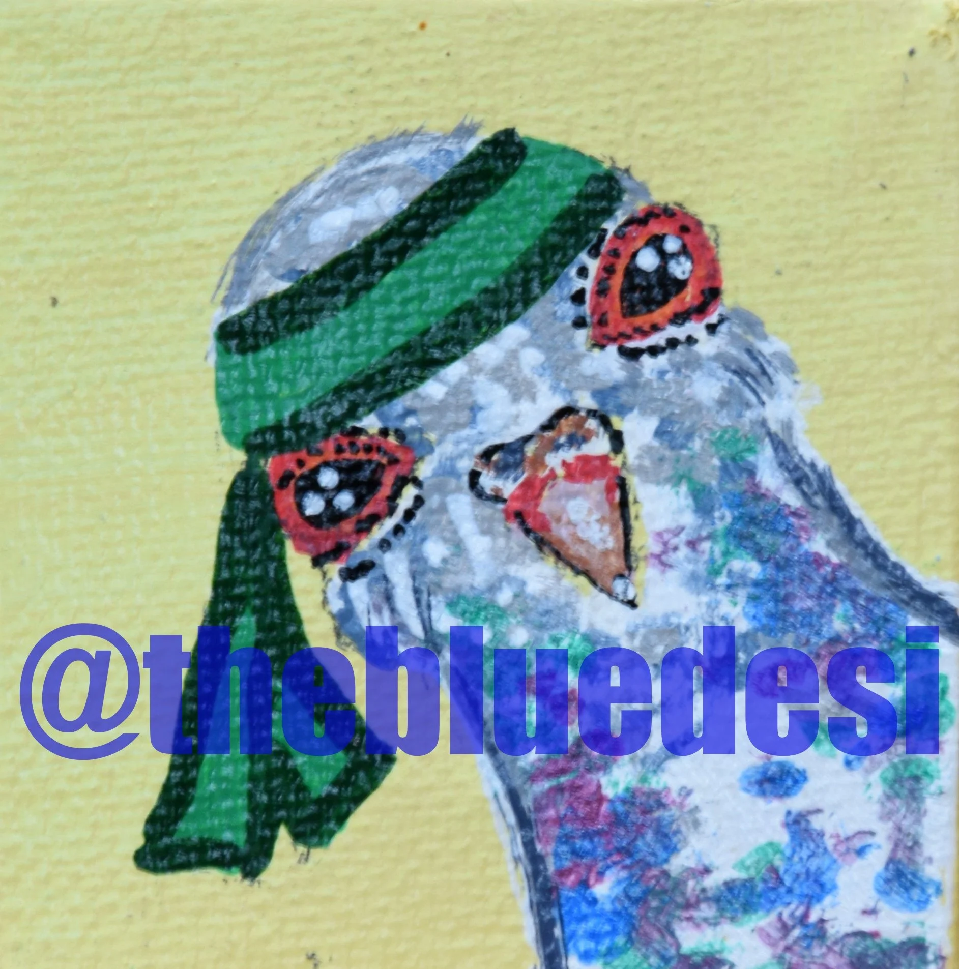 pigeonbandana