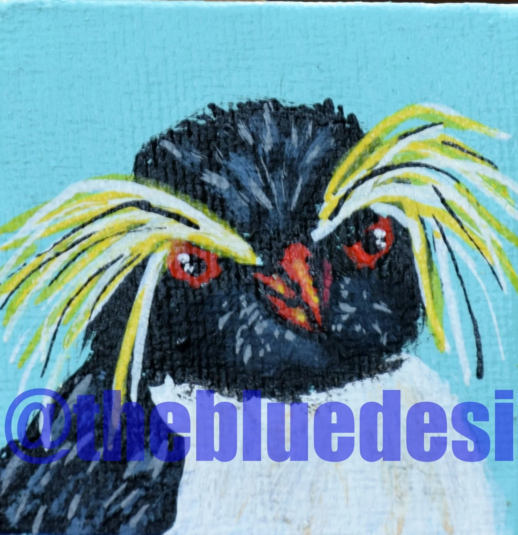 penguin