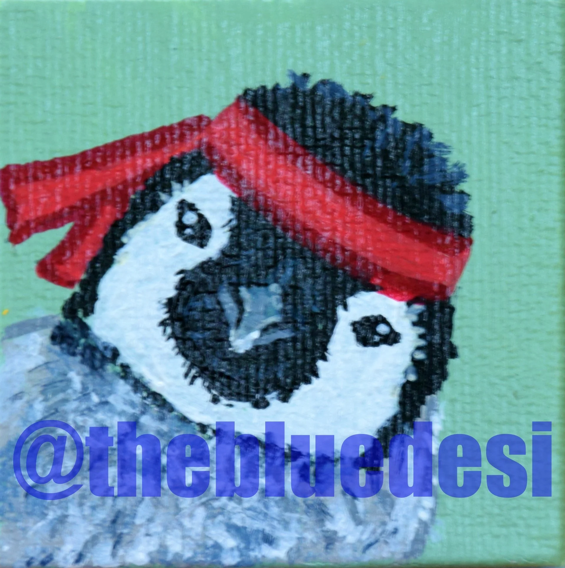 crossfitpenguinlet