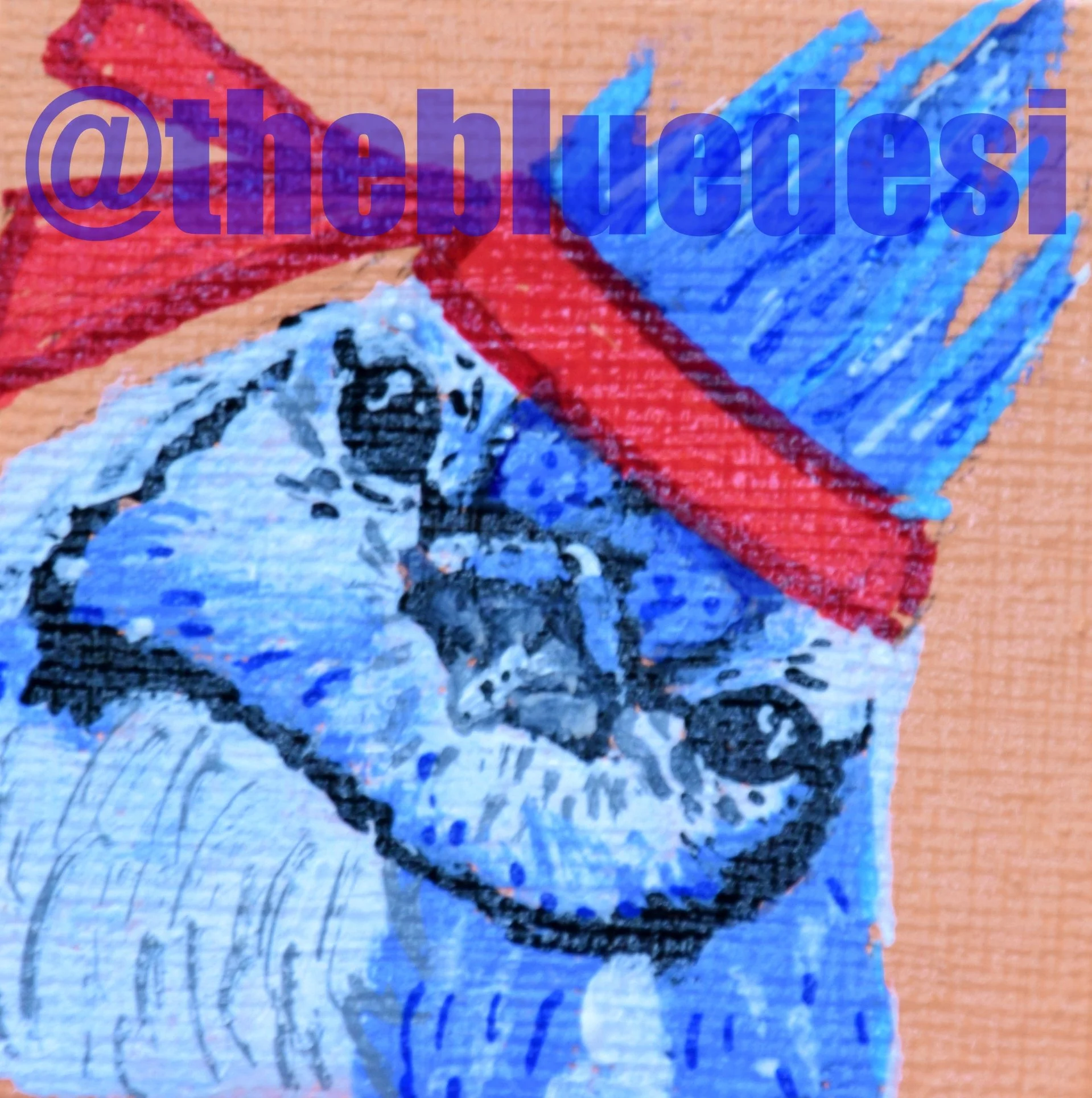 crossfitbluejay
