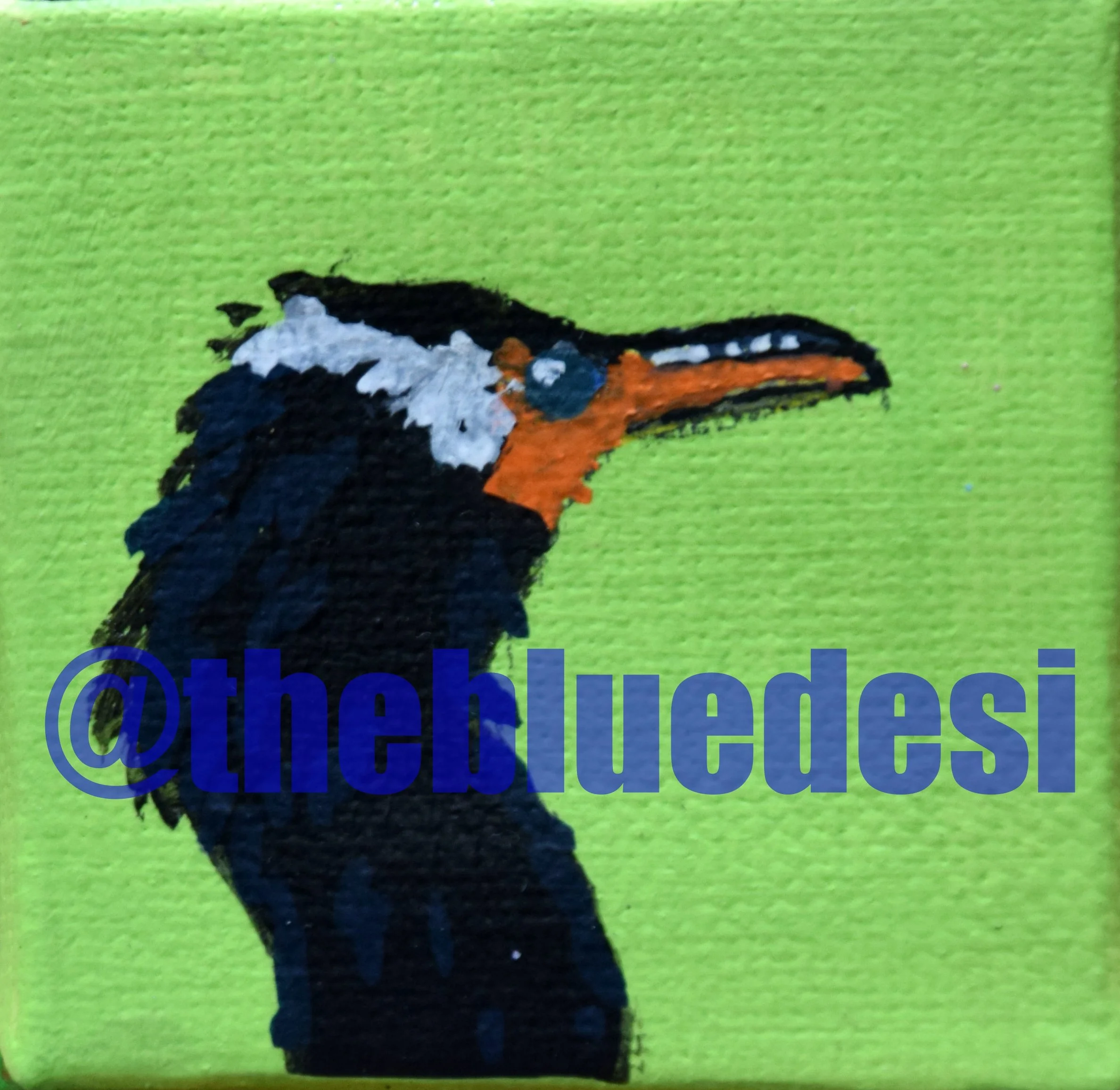 cormorant