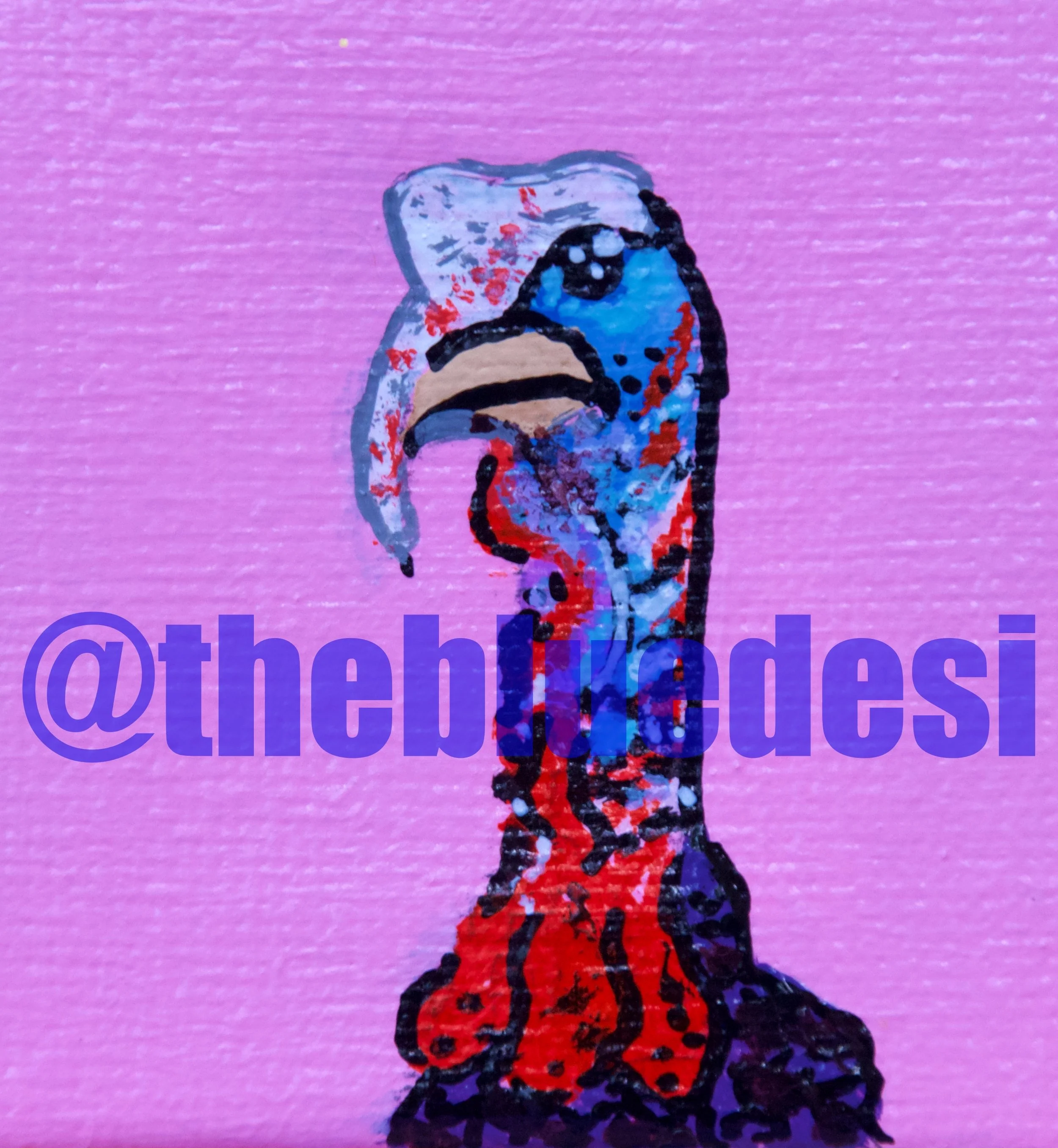 turkey 1