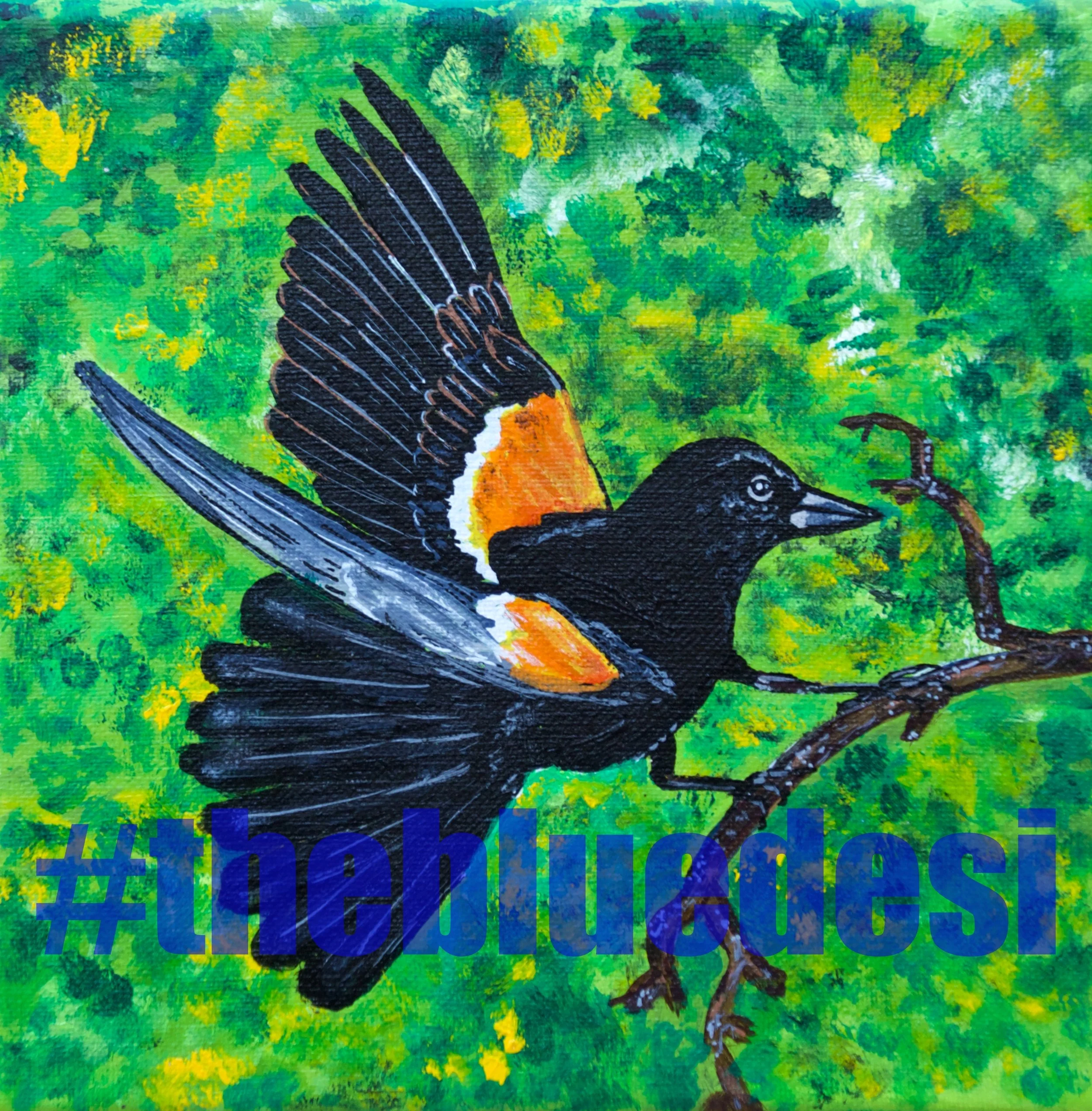 Red Winged Black Bird