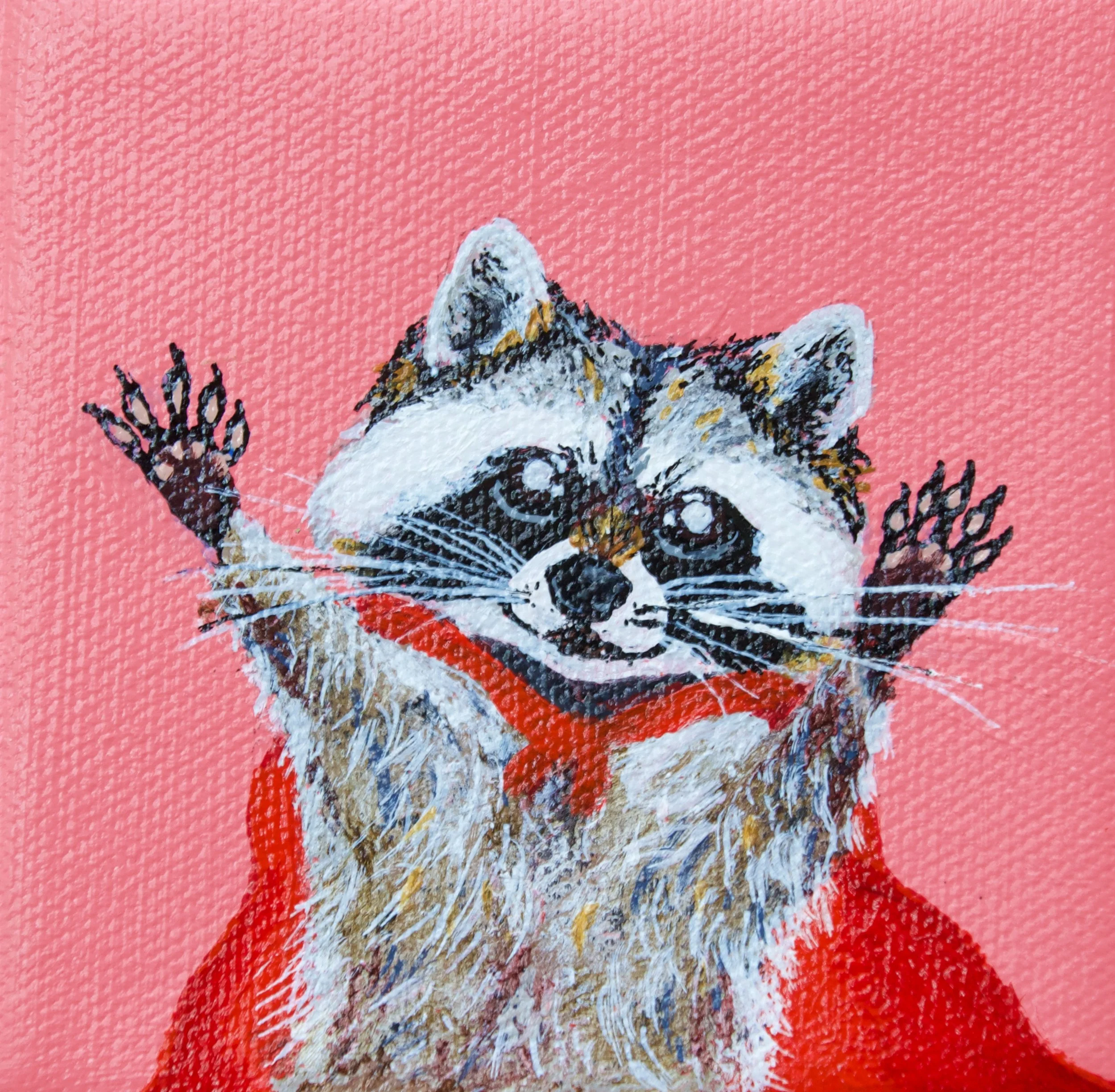 raccoon4.jpg