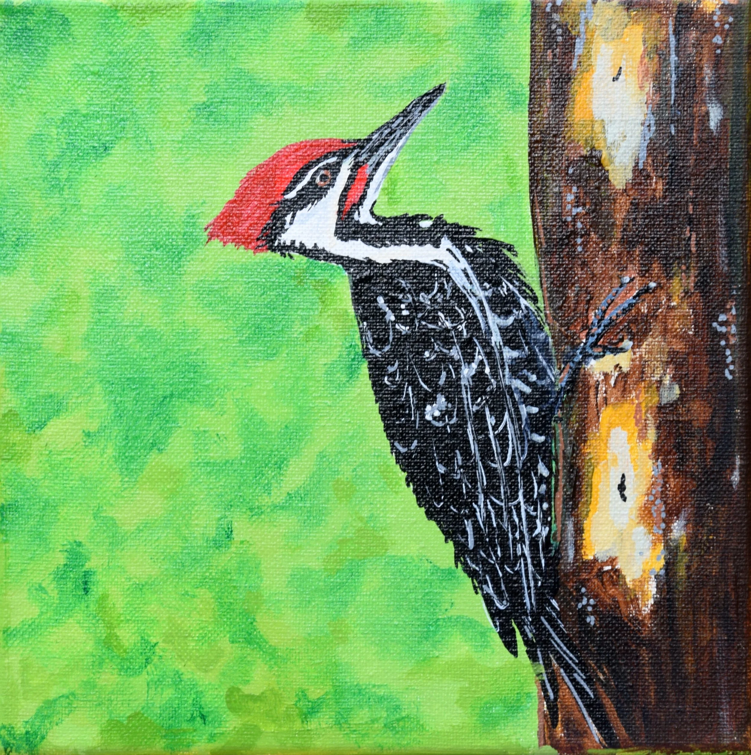 pileatedwoodpecker_updated.jpg