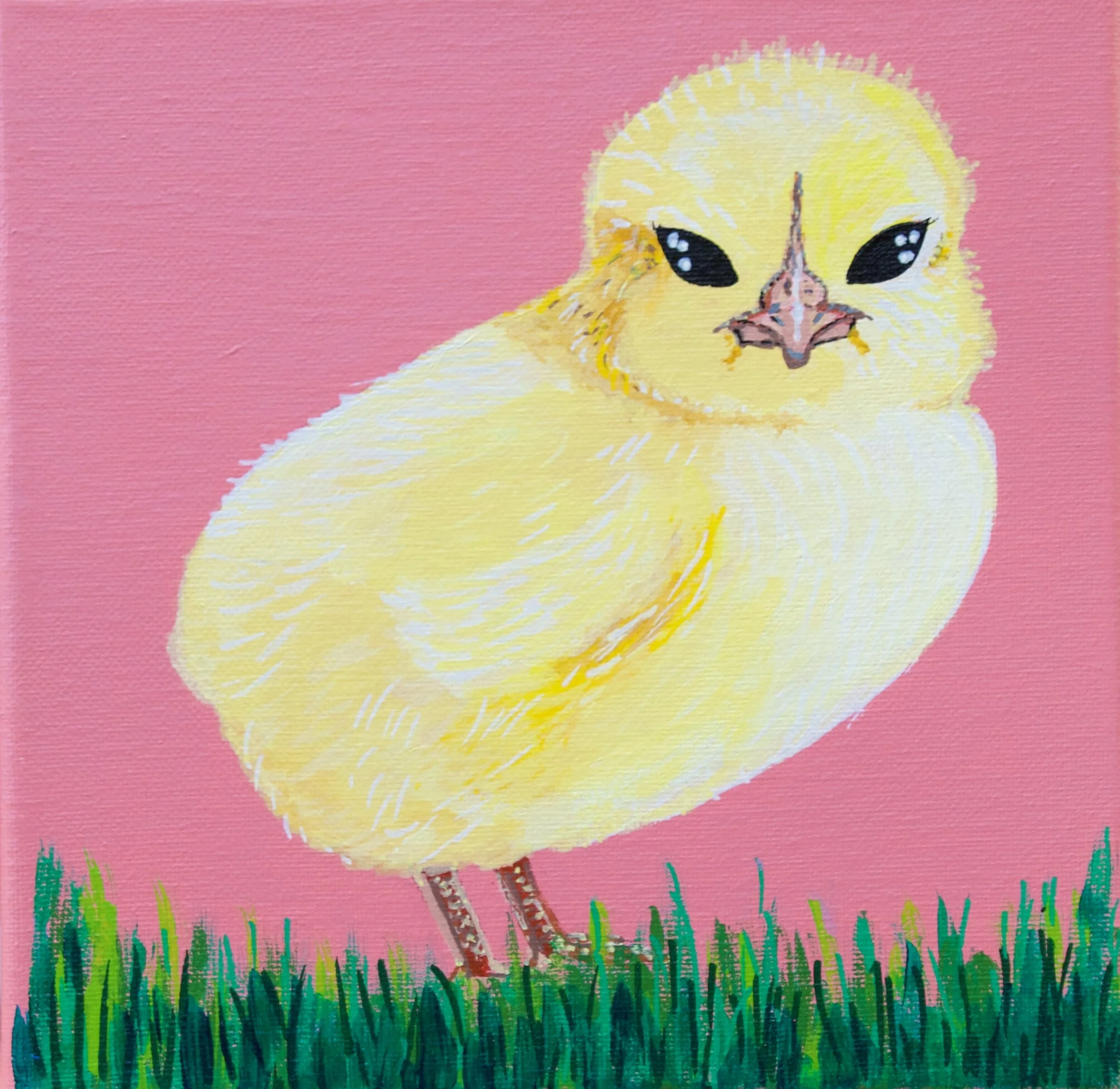 chickeecutie.jpg