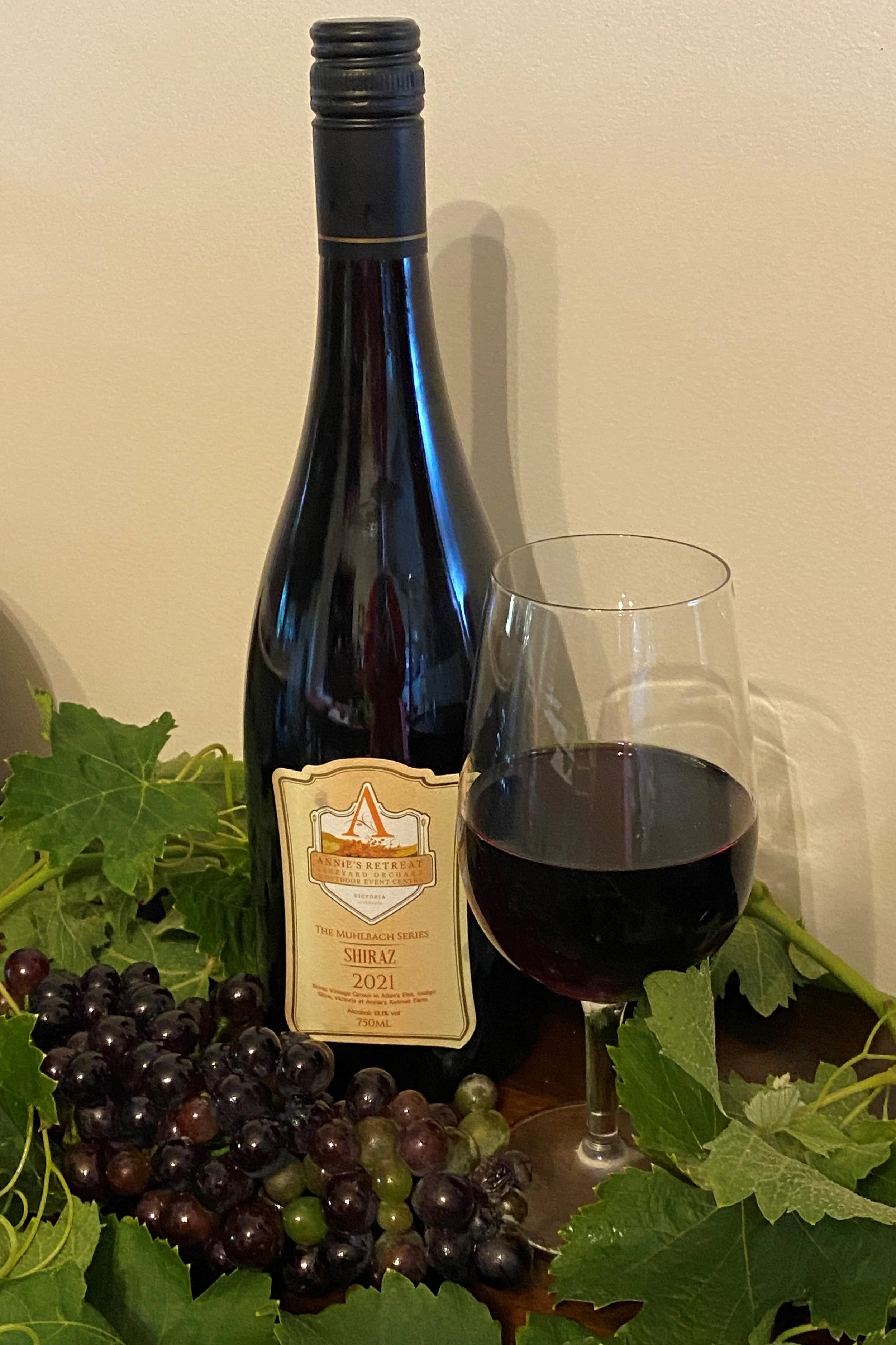 Shiraz 2021.jpg
