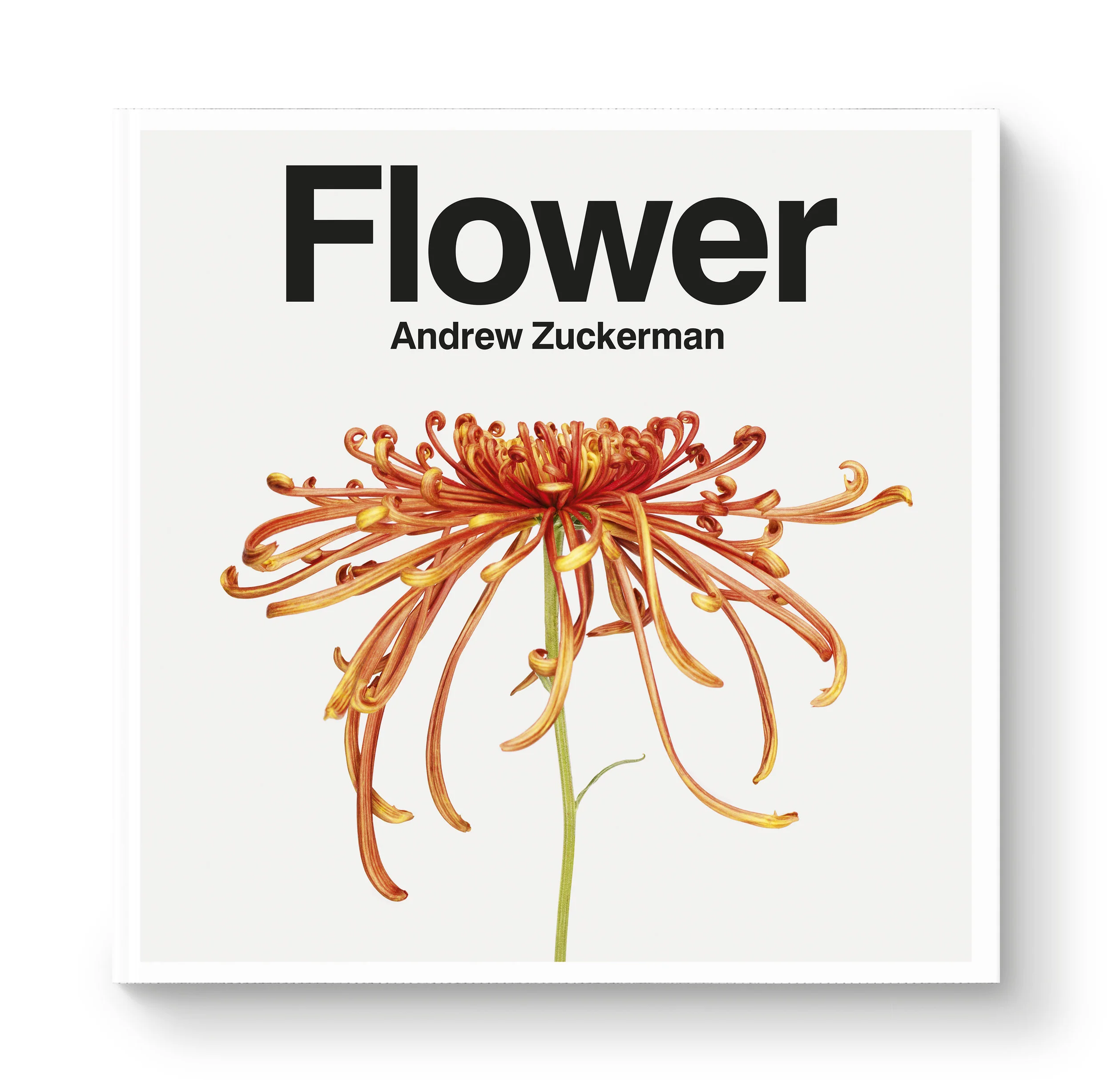 az-flower-jkt.jpg