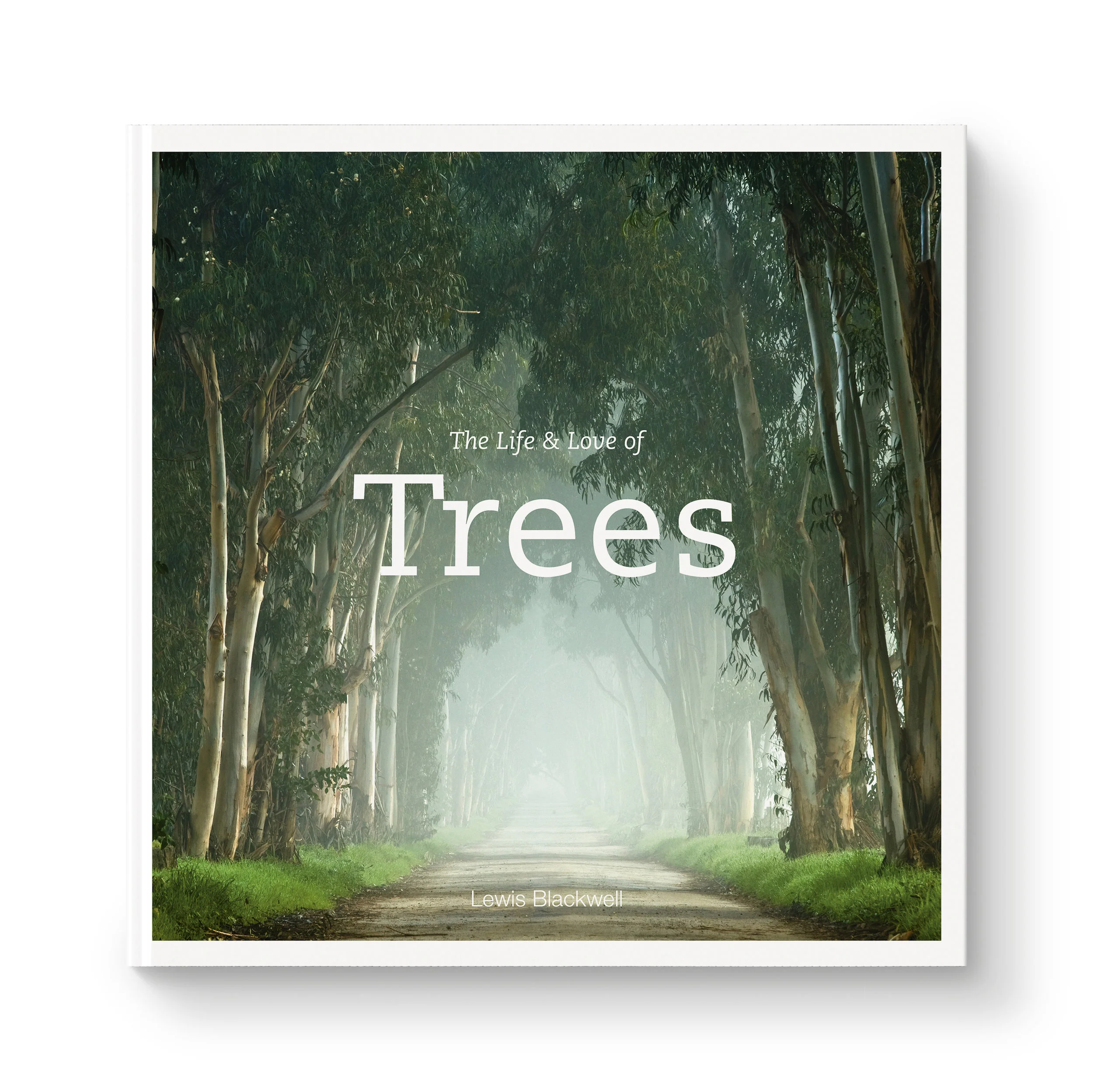 Custom Publishers and Filmmakers | Blackwell&Ruth