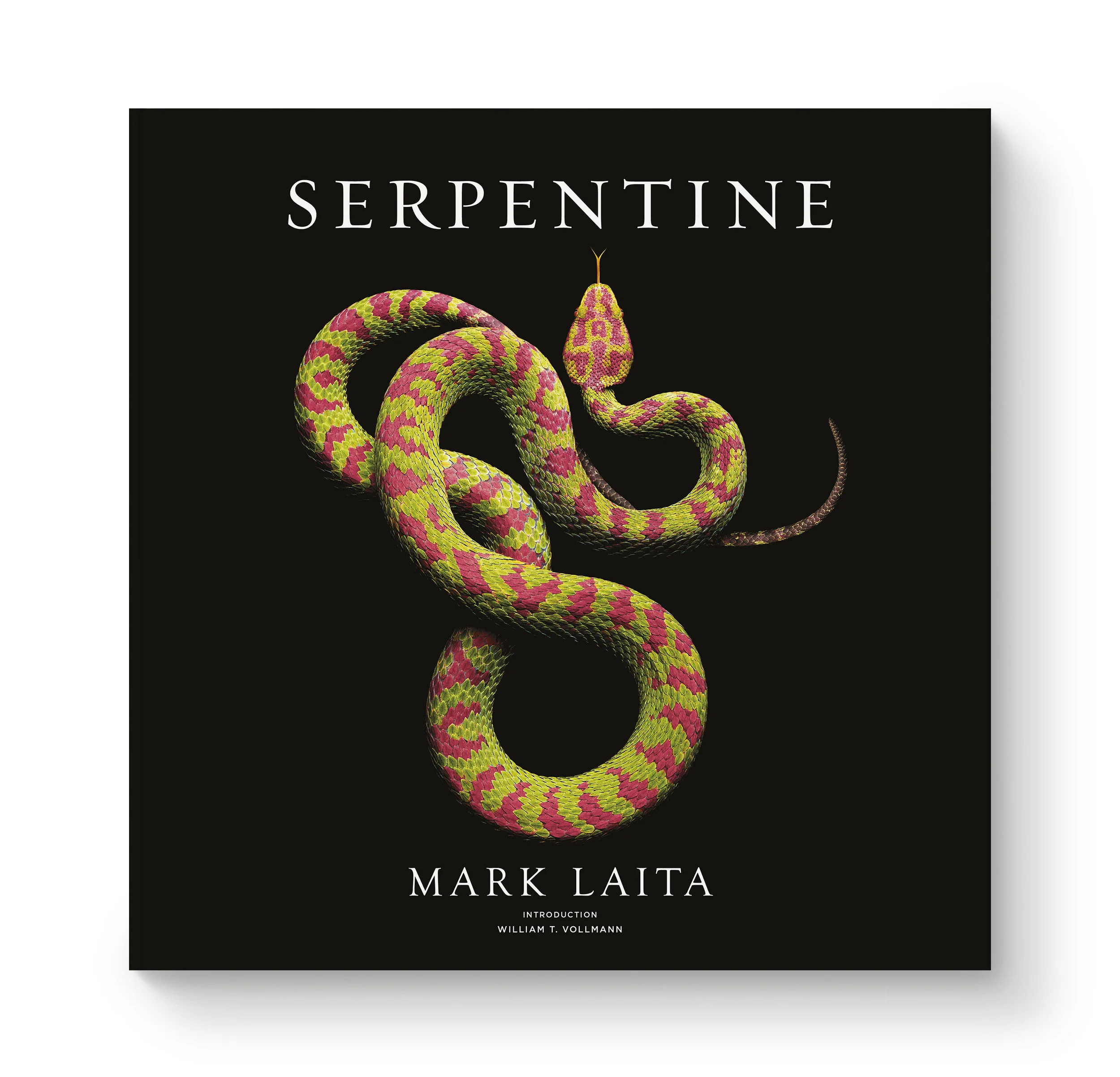 ml-serpentine.jpg