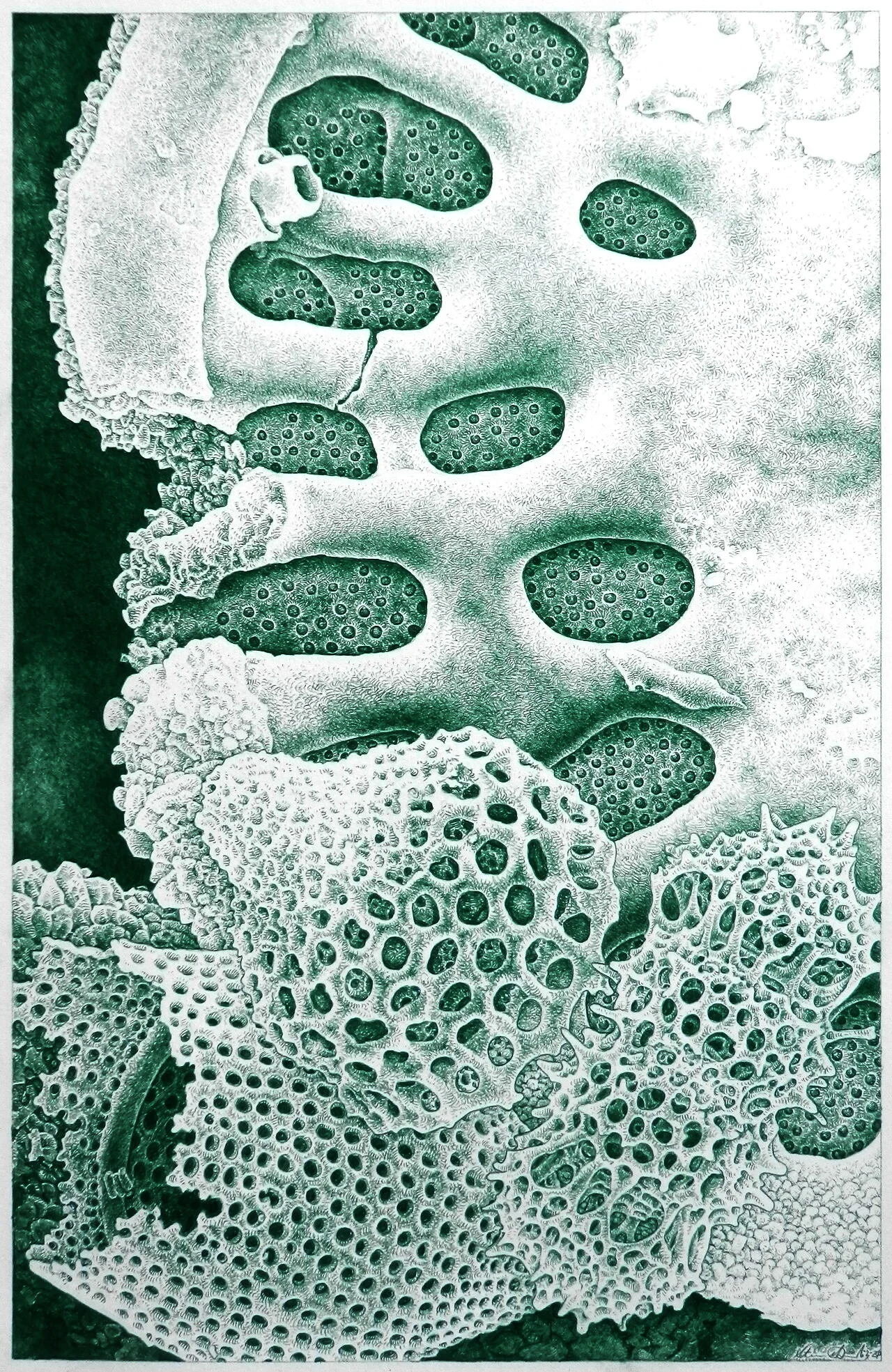 Silica Complexities in Green